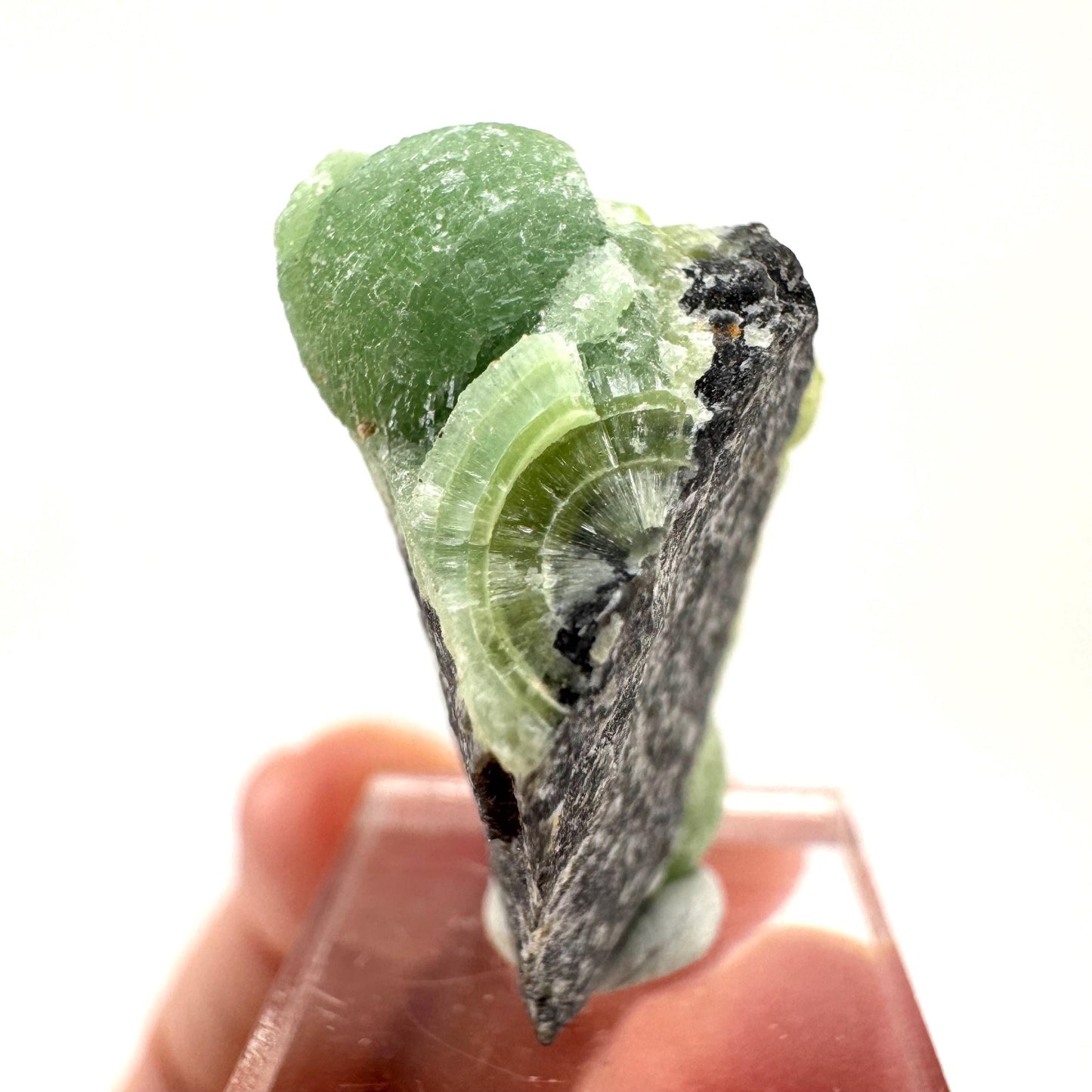 Wavellite (Arkansas, USA) | Wavellite crystal, mineral specimen
