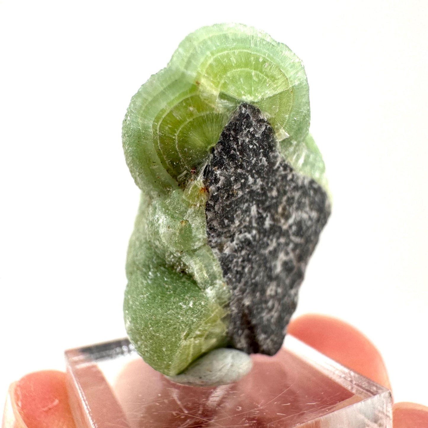 Wavellite (Arkansas, USA) | Wavellite crystal, mineral specimen