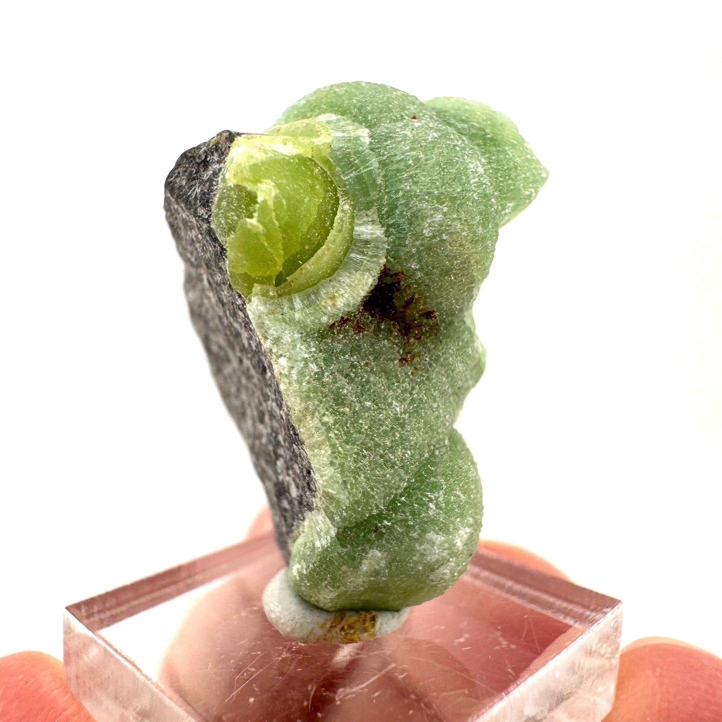 Wavellite (Arkansas, USA) | Wavellite crystal, mineral specimen