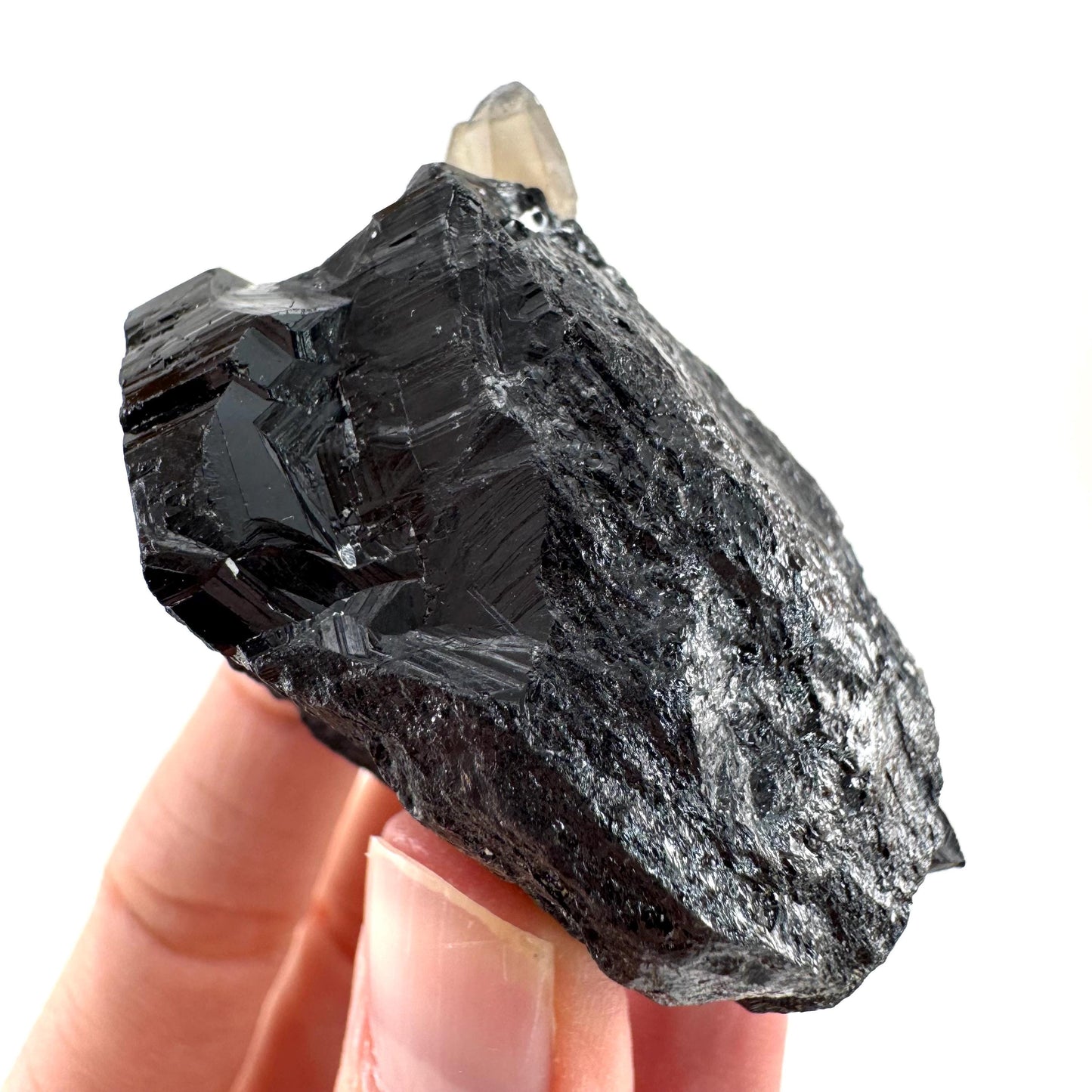 Black Tourmaline w/ Smoky Quartz (Namibia) | high quality black tourmaline crystal, black schorl, mineral specimen
