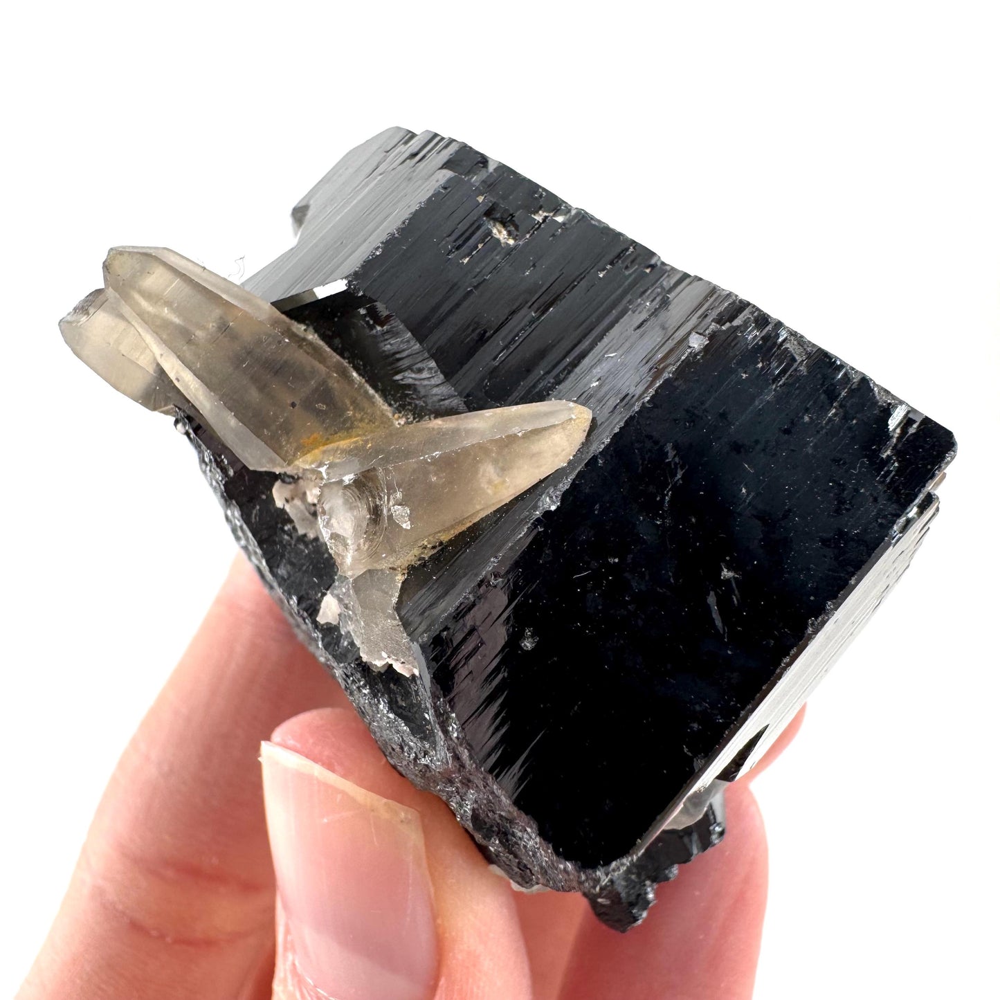 Black Tourmaline w/ Smoky Quartz (Namibia) | high quality black tourmaline crystal, black schorl, mineral specimen