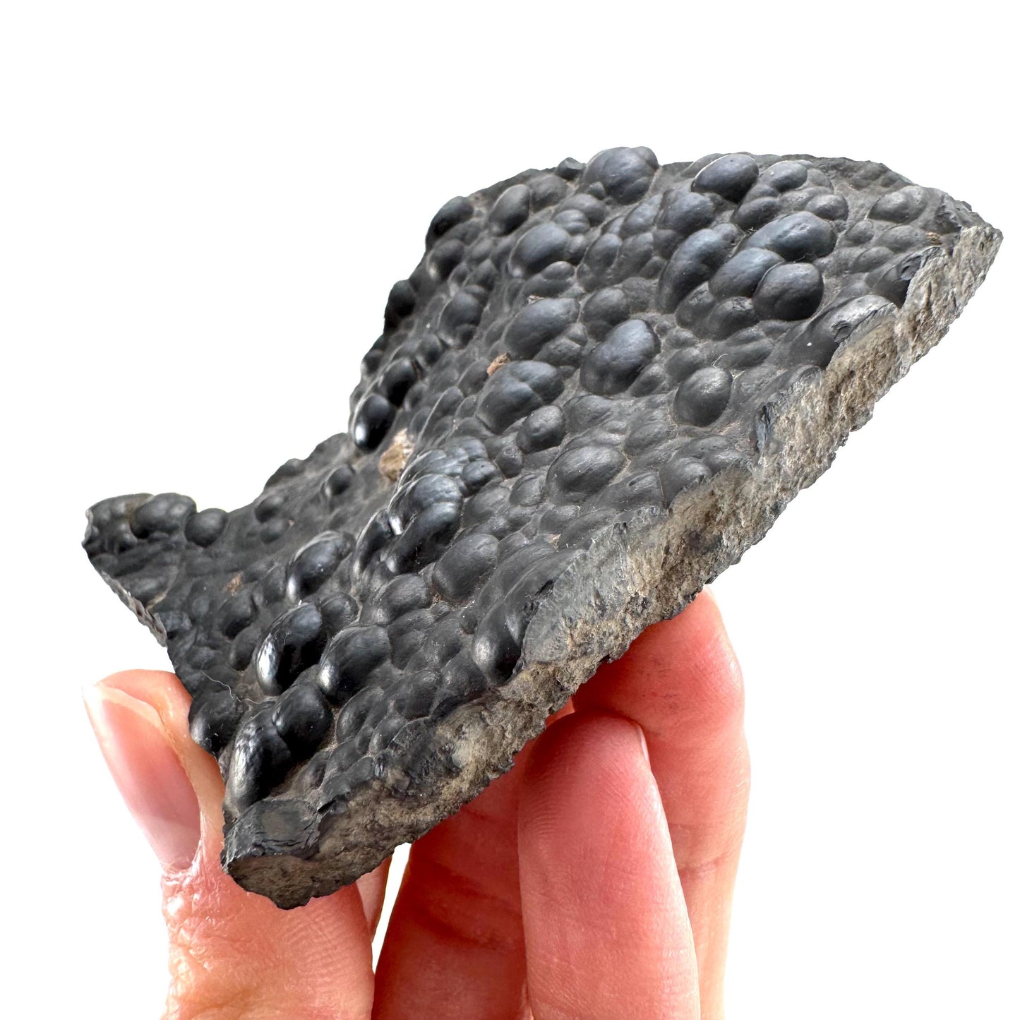Botryoidal Hematite (Morocco) | black hematite crystal, mineral specimen