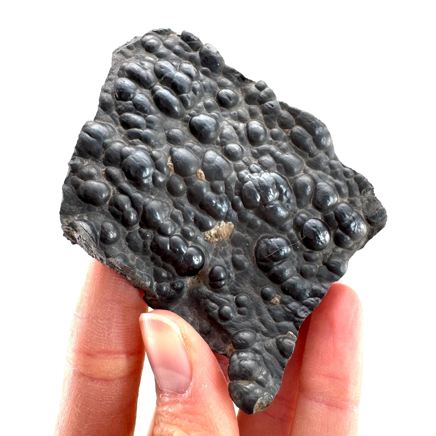 Botryoidal Hematite (Morocco) | black hematite crystal, mineral specimen