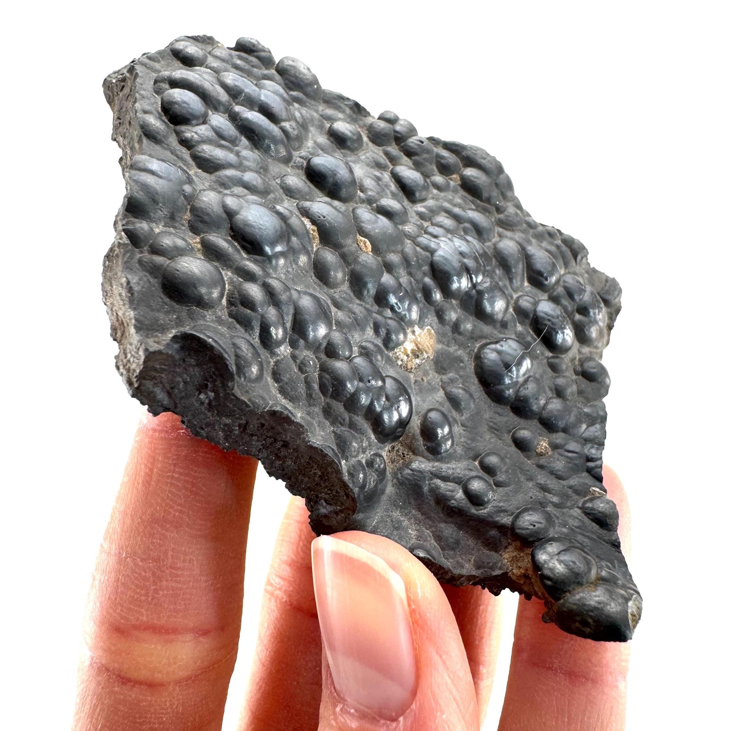 Botryoidal Hematite (Morocco) | black hematite crystal, mineral specimen