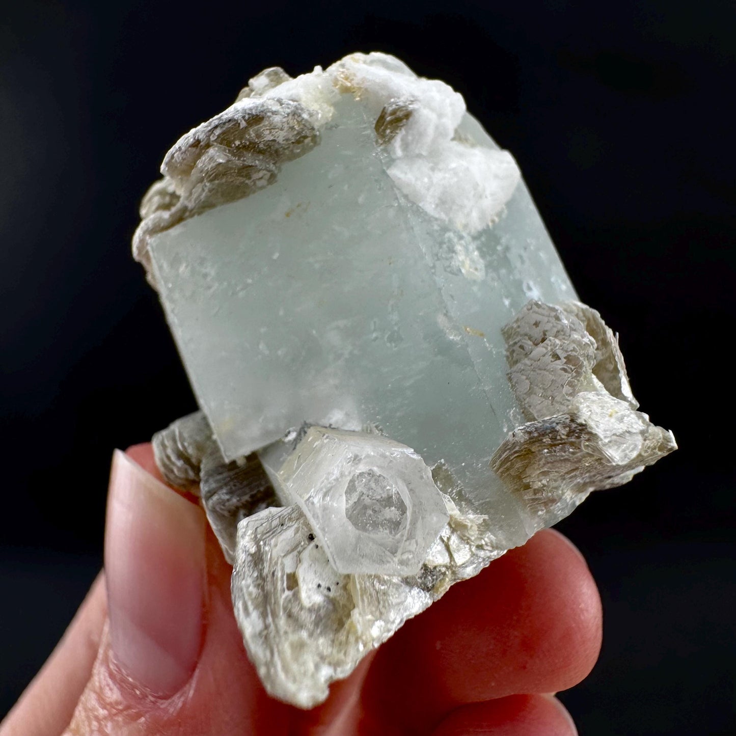Aquamarine w/ Muscovite & Albite (Pakistan) | natural aquamarine crystal, mineral specimen