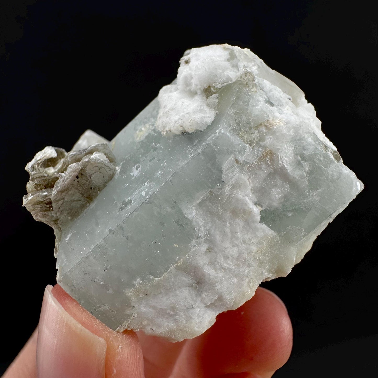 Aquamarine w/ Muscovite & Albite (Pakistan) | natural aquamarine crystal, mineral specimen