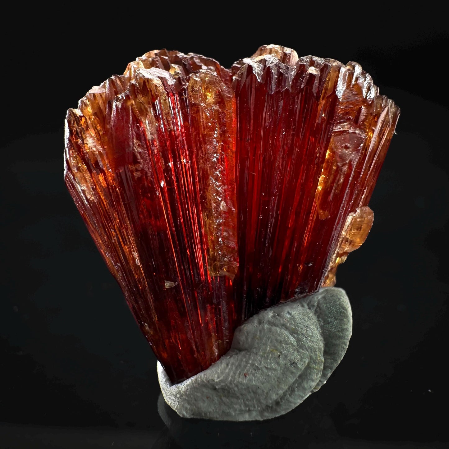 Rhodochrosite (South Africa) | natural rhodochrosite crystal, rare mineral specimen
