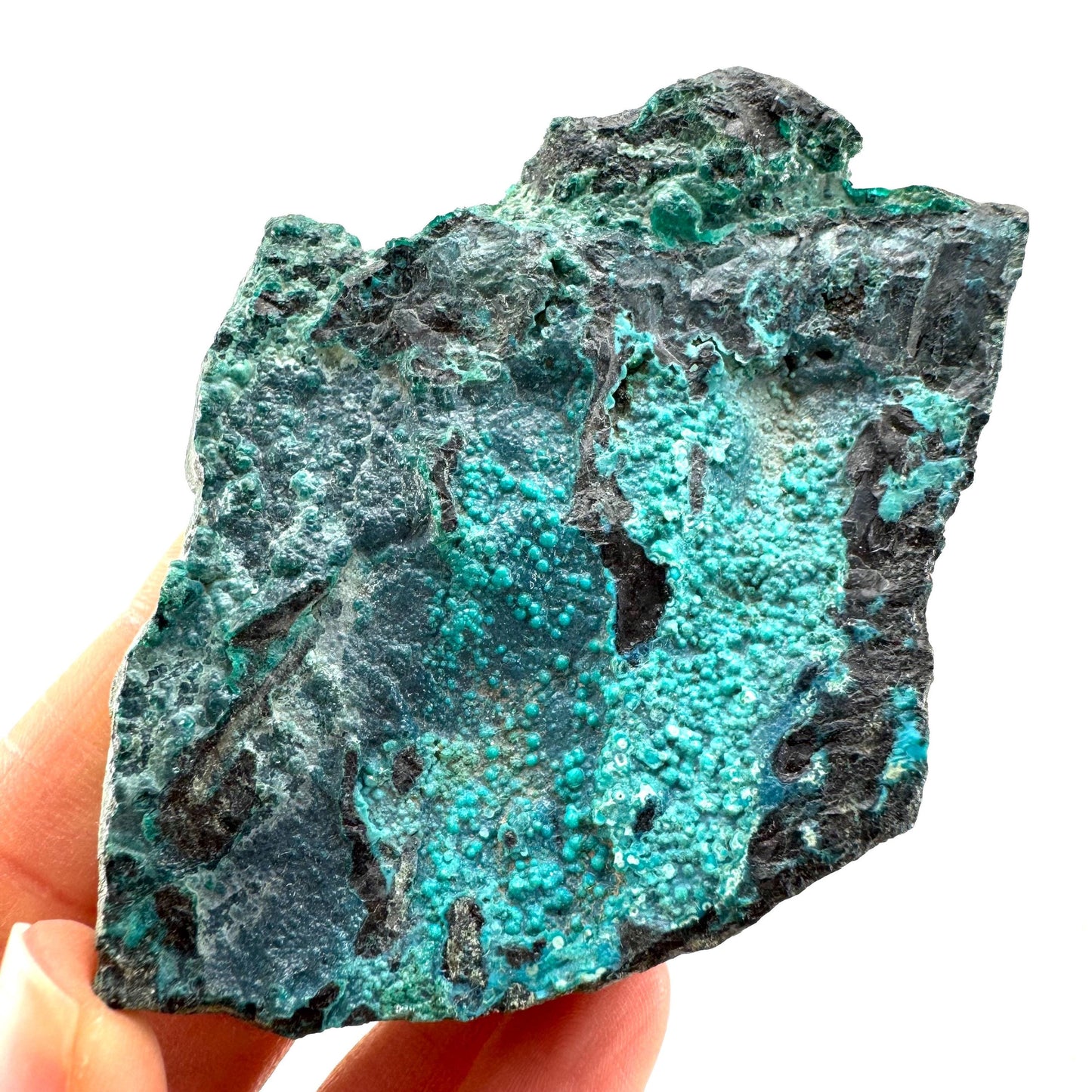 Chrysocolla / Gem Silica (DR Congo) | botryoidal chrysocolla crystal, mineral specimen