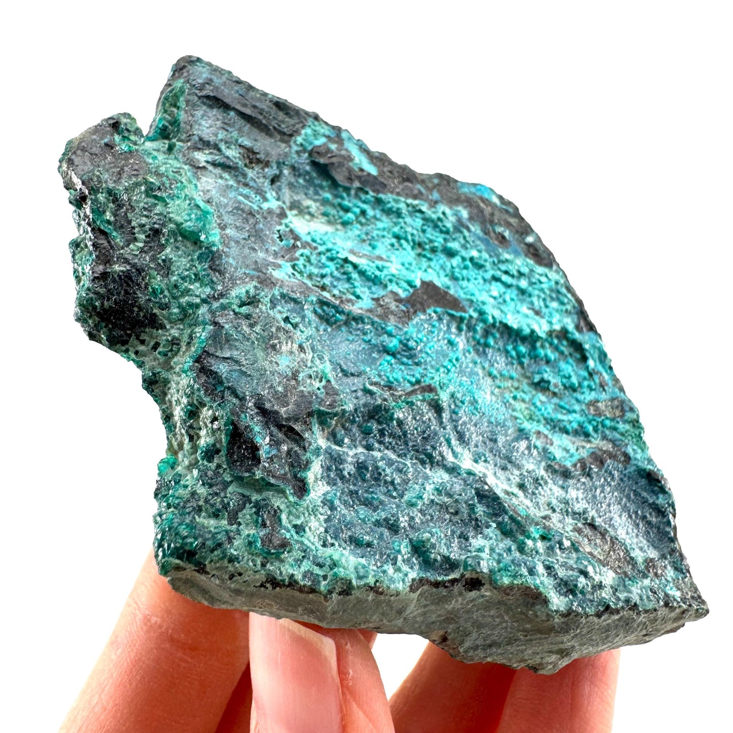 Chrysocolla / Gem Silica (DR Congo) | botryoidal chrysocolla crystal, mineral specimen