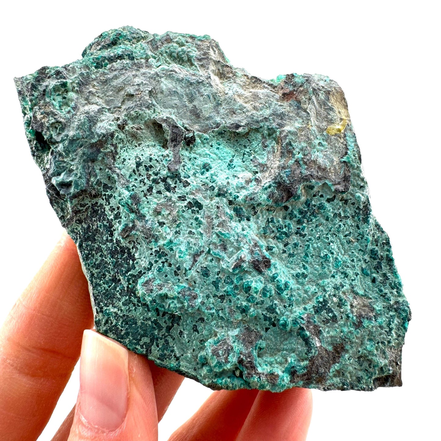 Chrysocolla / Gem Silica (DR Congo) | botryoidal chrysocolla crystal, mineral specimen