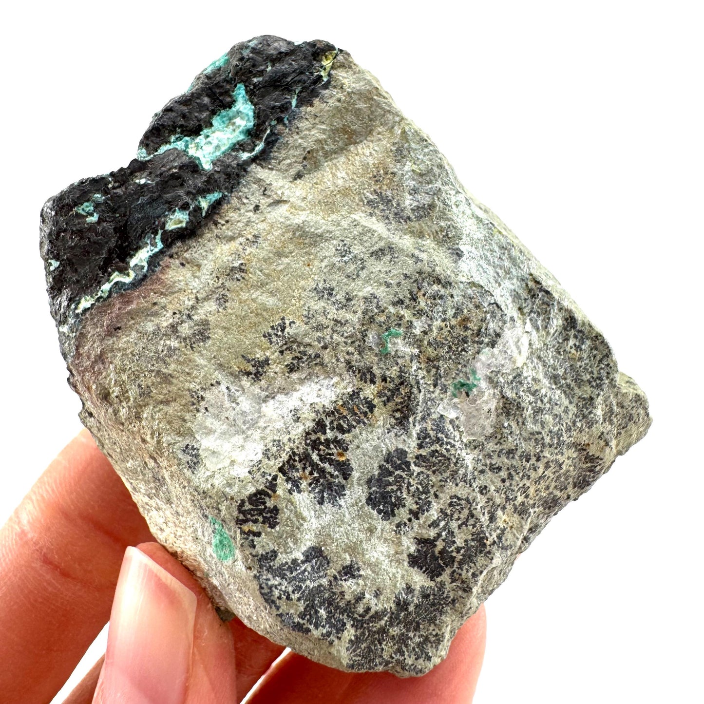 Chrysocolla / Gem Silica (DR Congo) | botryoidal chrysocolla crystal, mineral specimen