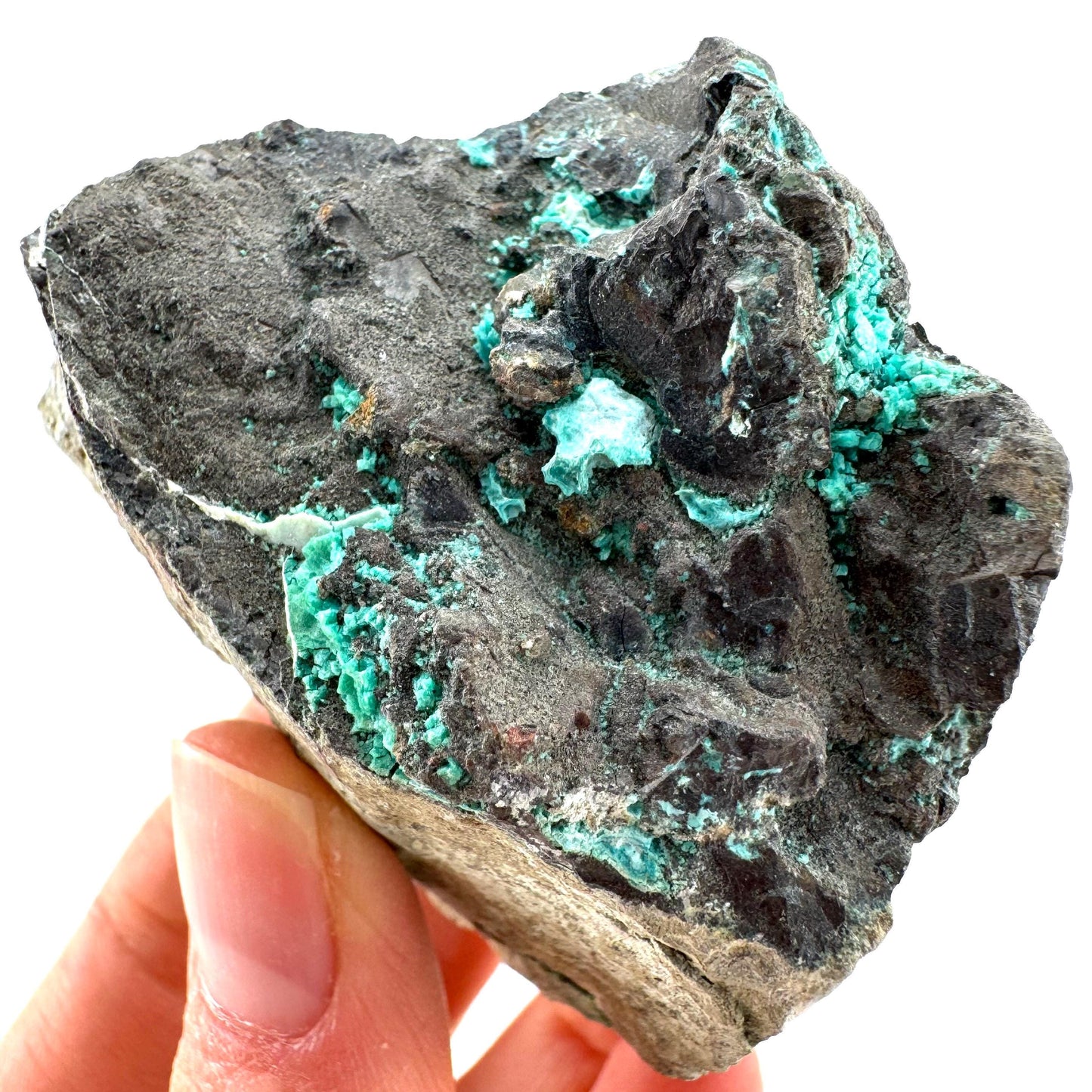 Chrysocolla / Gem Silica (DR Congo) | botryoidal chrysocolla crystal, mineral specimen