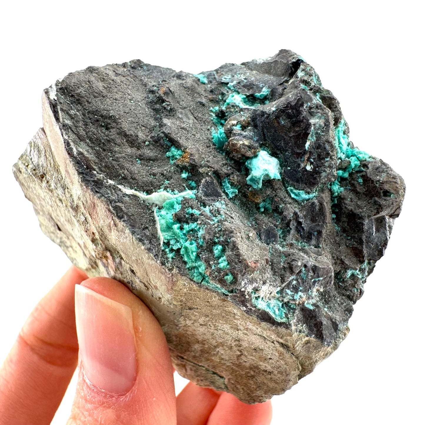 Chrysocolla / Gem Silica (DR Congo) | botryoidal chrysocolla crystal, mineral specimen