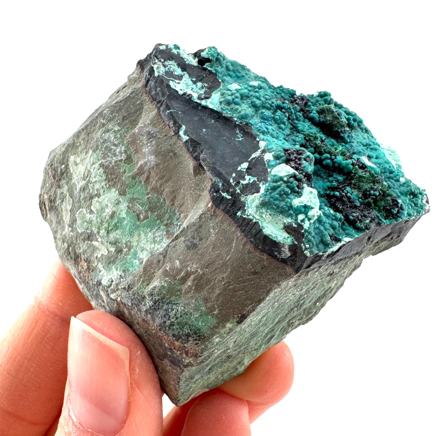 Chrysocolla / Gem Silica (DR Congo) | botryoidal chrysocolla crystal, mineral specimen