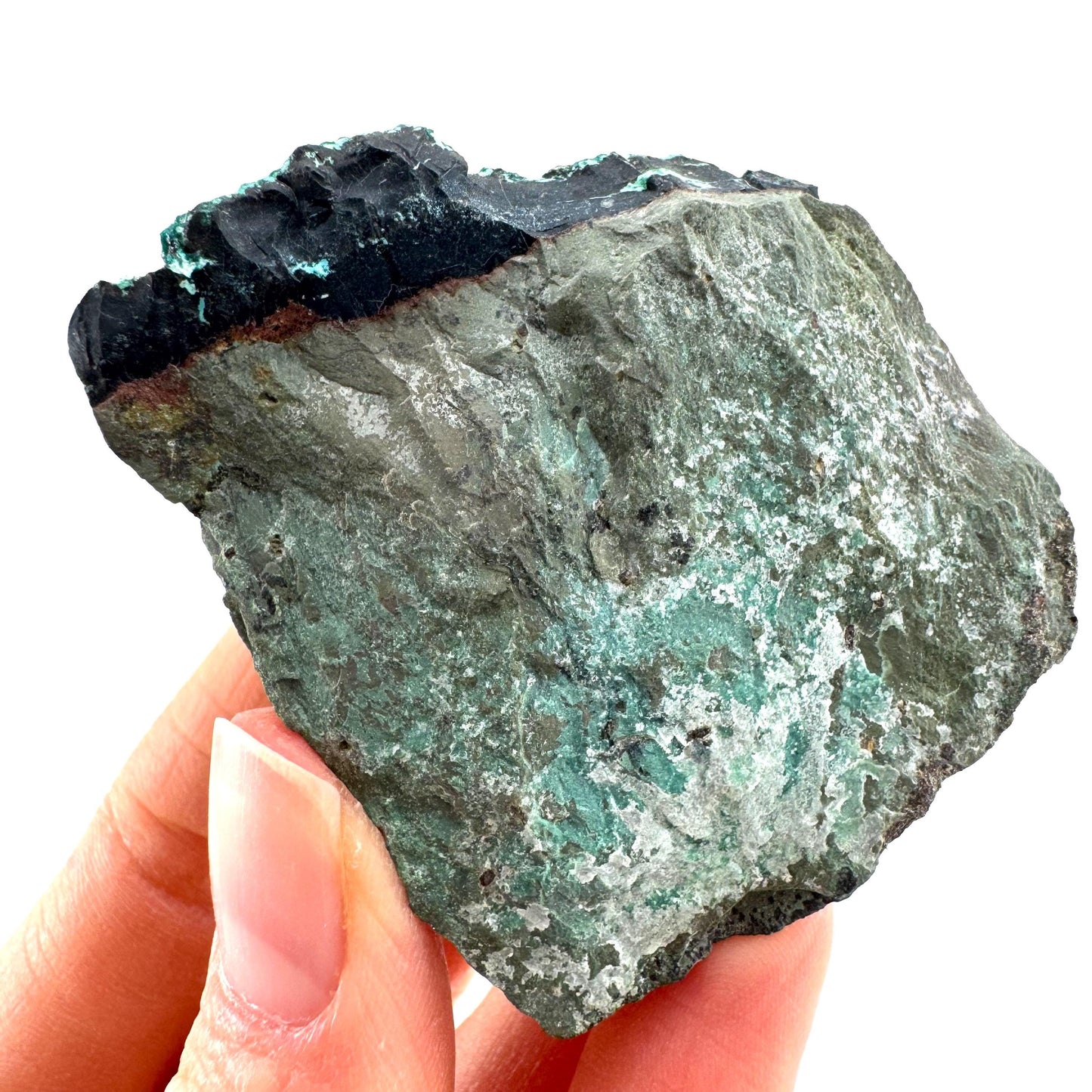 Chrysocolla / Gem Silica (DR Congo) | botryoidal chrysocolla crystal, mineral specimen