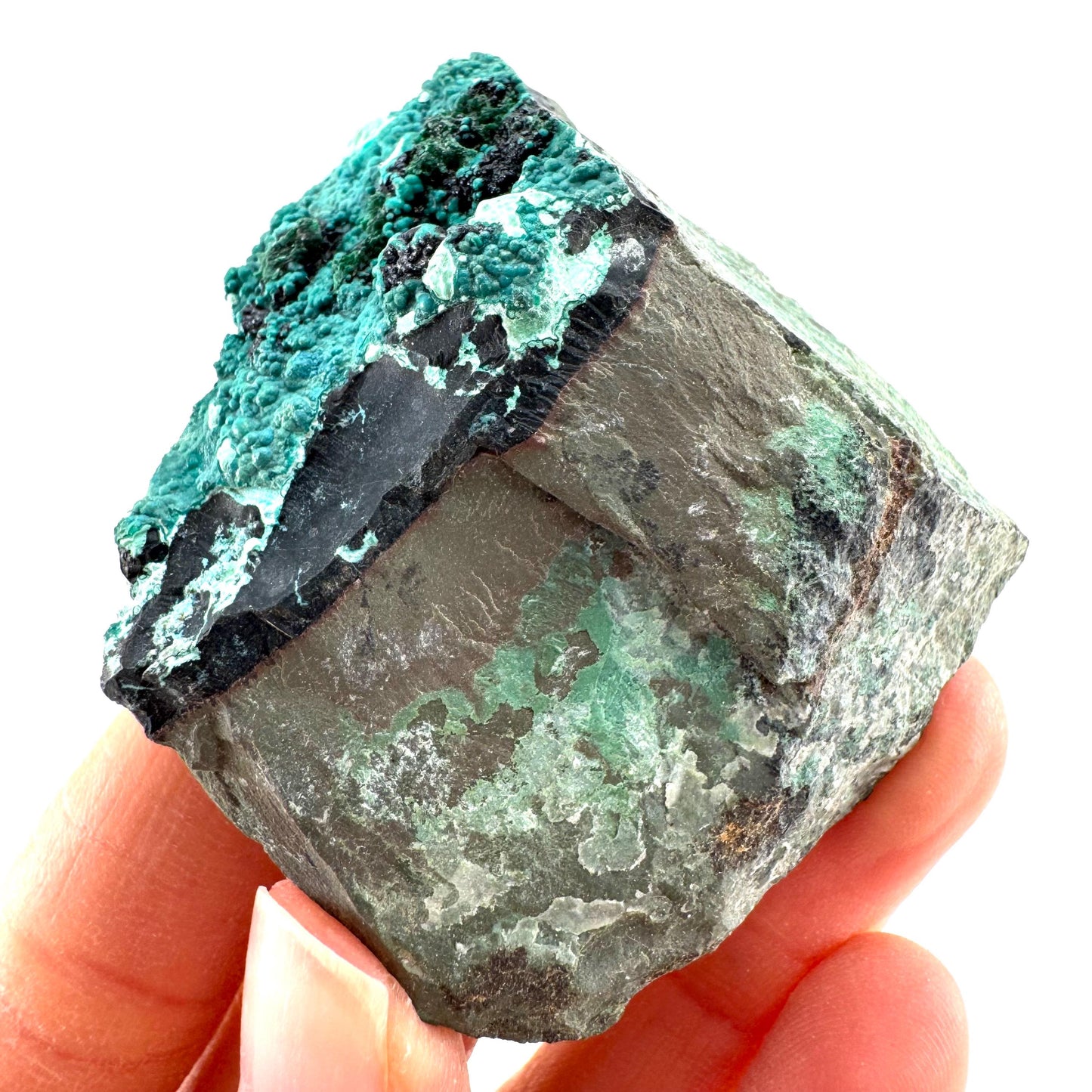 Chrysocolla / Gem Silica (DR Congo) | botryoidal chrysocolla crystal, mineral specimen