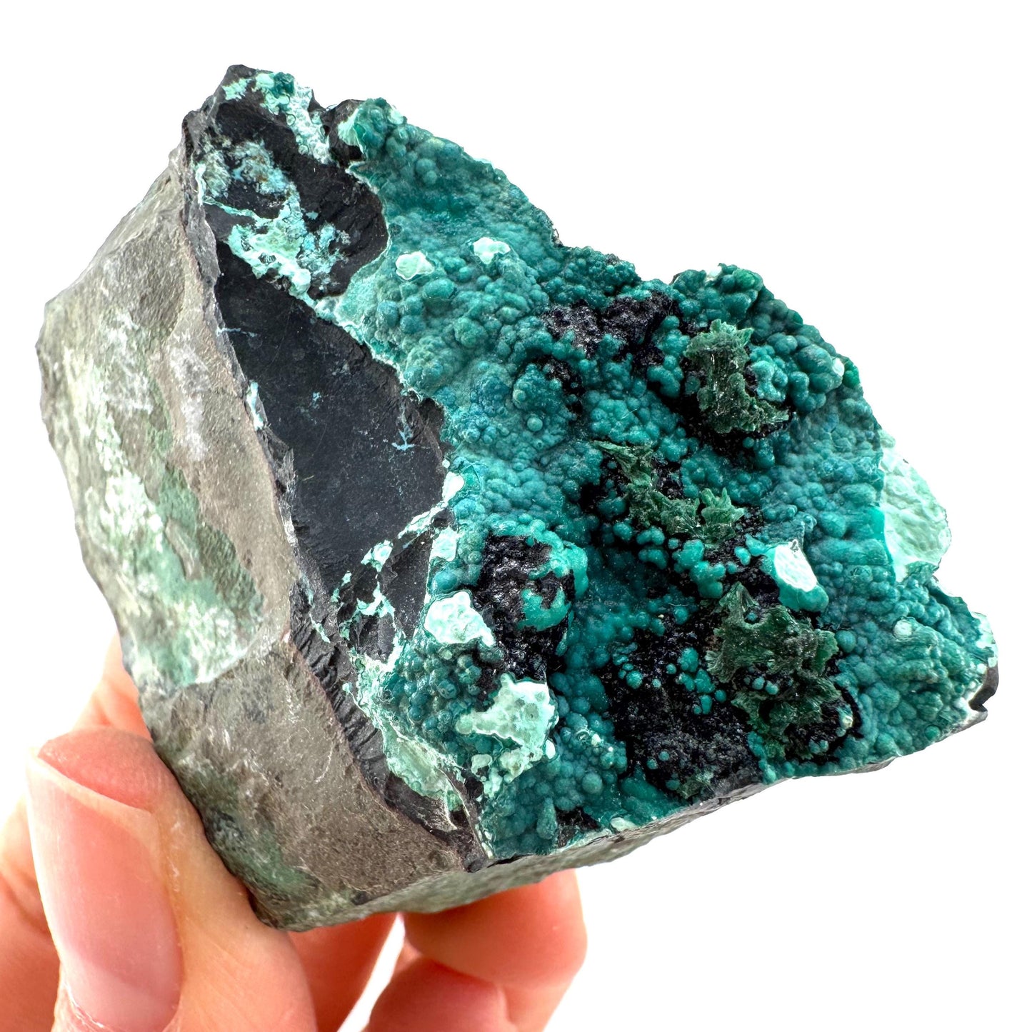 Chrysocolla / Gem Silica (DR Congo) | botryoidal chrysocolla crystal, mineral specimen