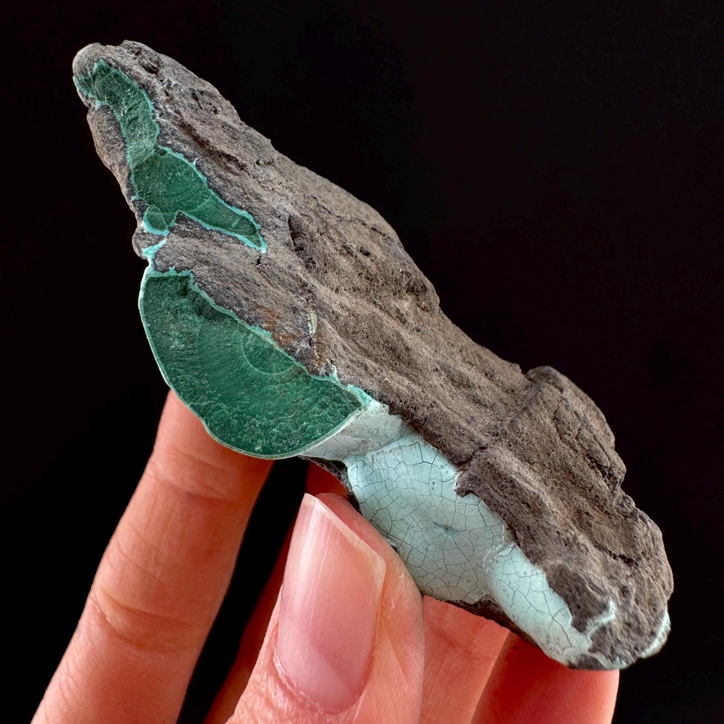 Chrysocolla & Malachite (DR Congo) | botryoidal chrysocolla crystal, mineral specimen