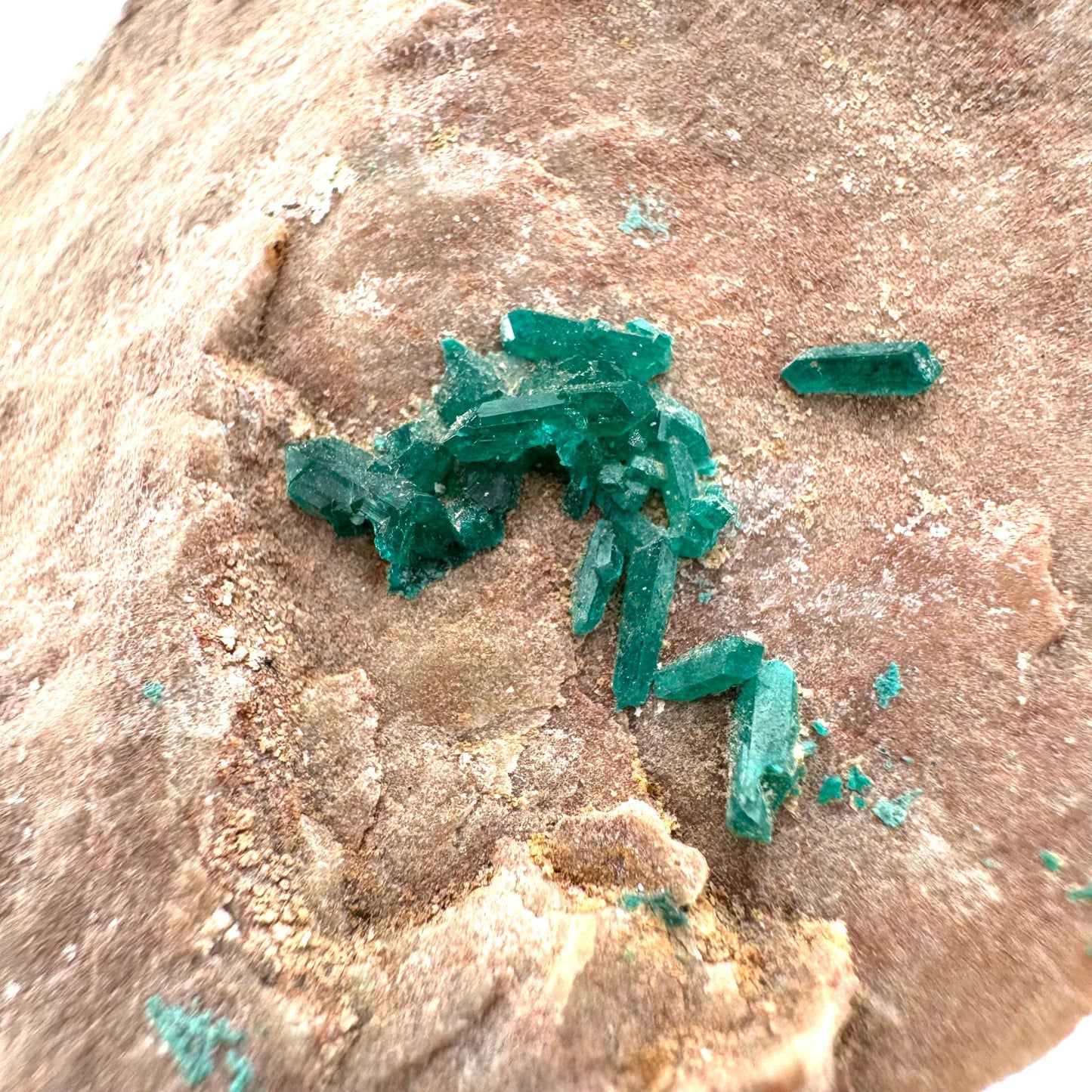 Dioptase w/ Chrysocolla (Namibia) | dioptase crystal, mineral specimen