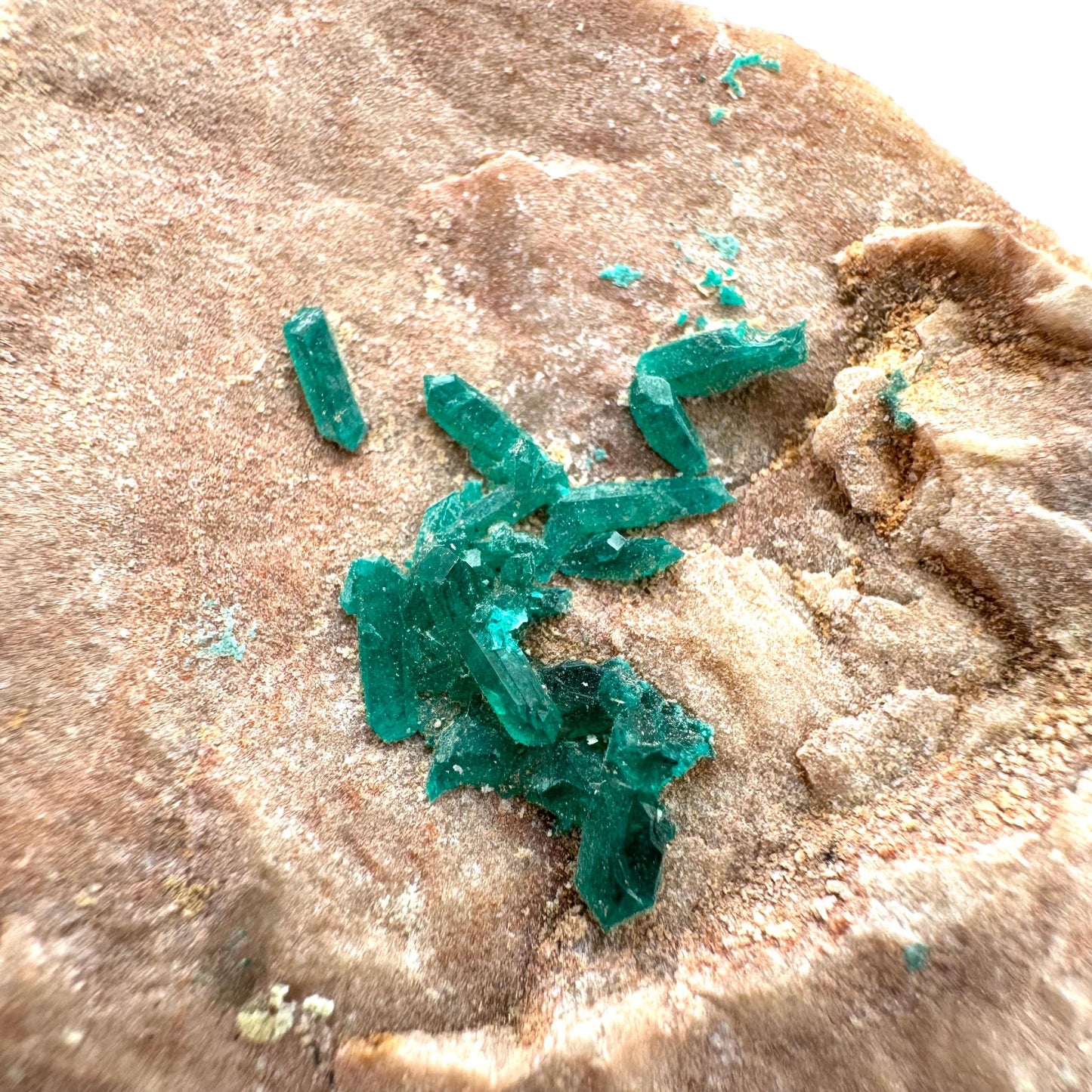 Dioptase w/ Chrysocolla (Namibia) | dioptase crystal, mineral specimen