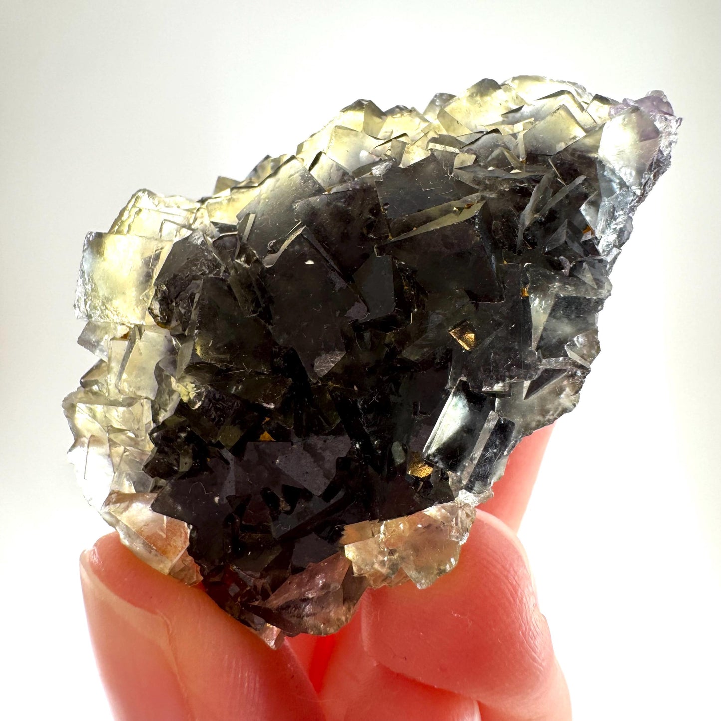 Okorusu Fluorite (Namibia) | “Honey Pocket” fluorite cluster, yellow fluorite crystal, mineral specimen