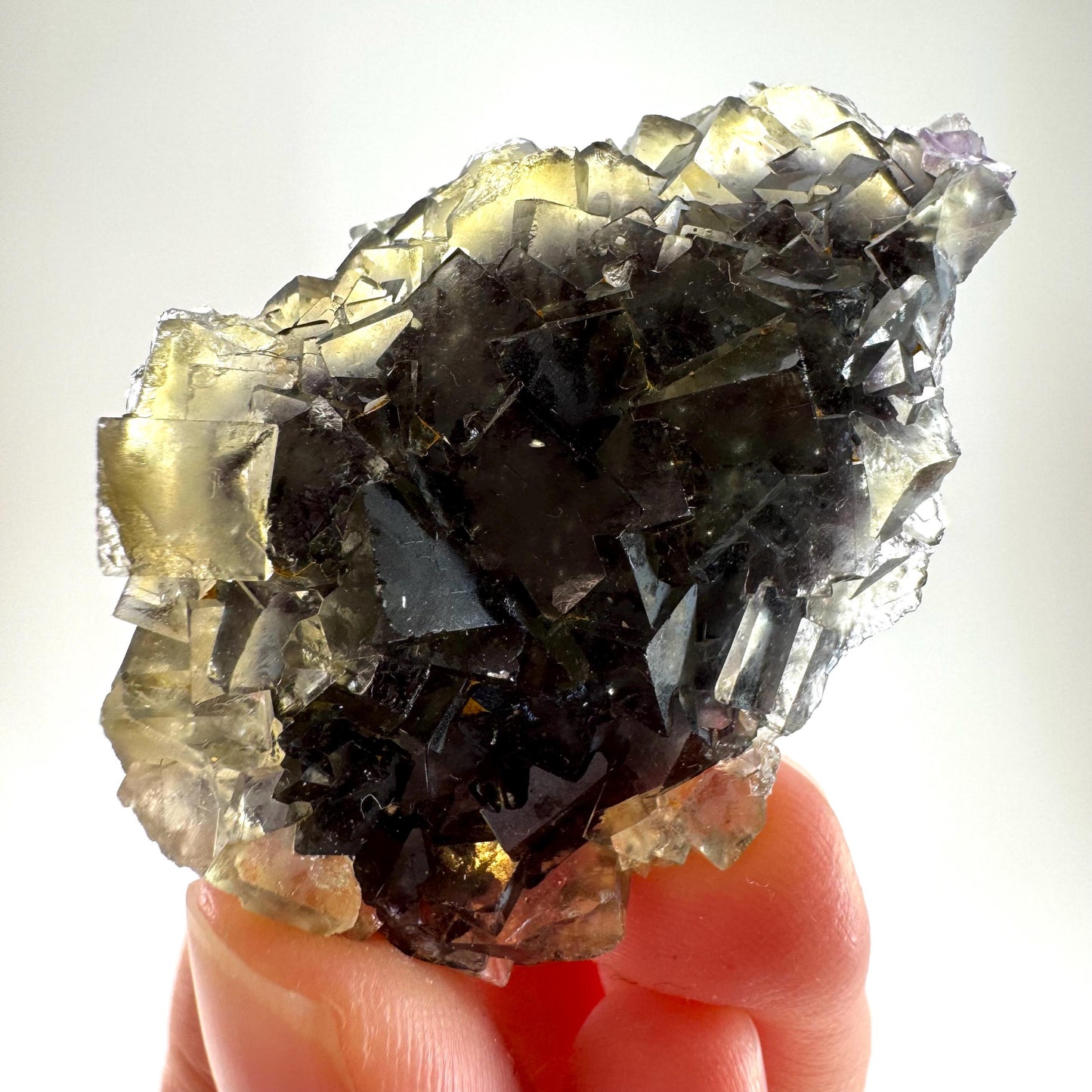 Okorusu Fluorite (Namibia) | “Honey Pocket” fluorite cluster, yellow fluorite crystal, mineral specimen