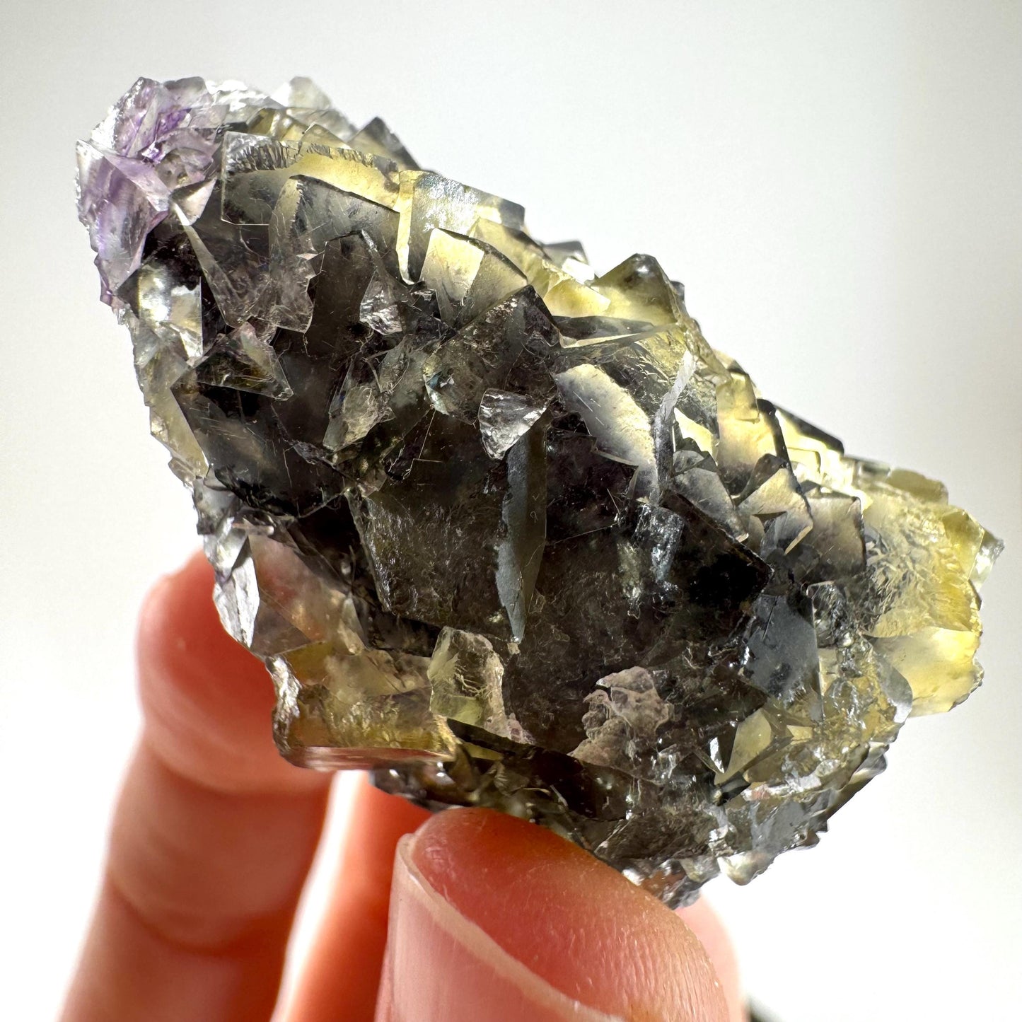 Okorusu Fluorite (Namibia) | “Honey Pocket” fluorite cluster, yellow fluorite crystal, mineral specimen
