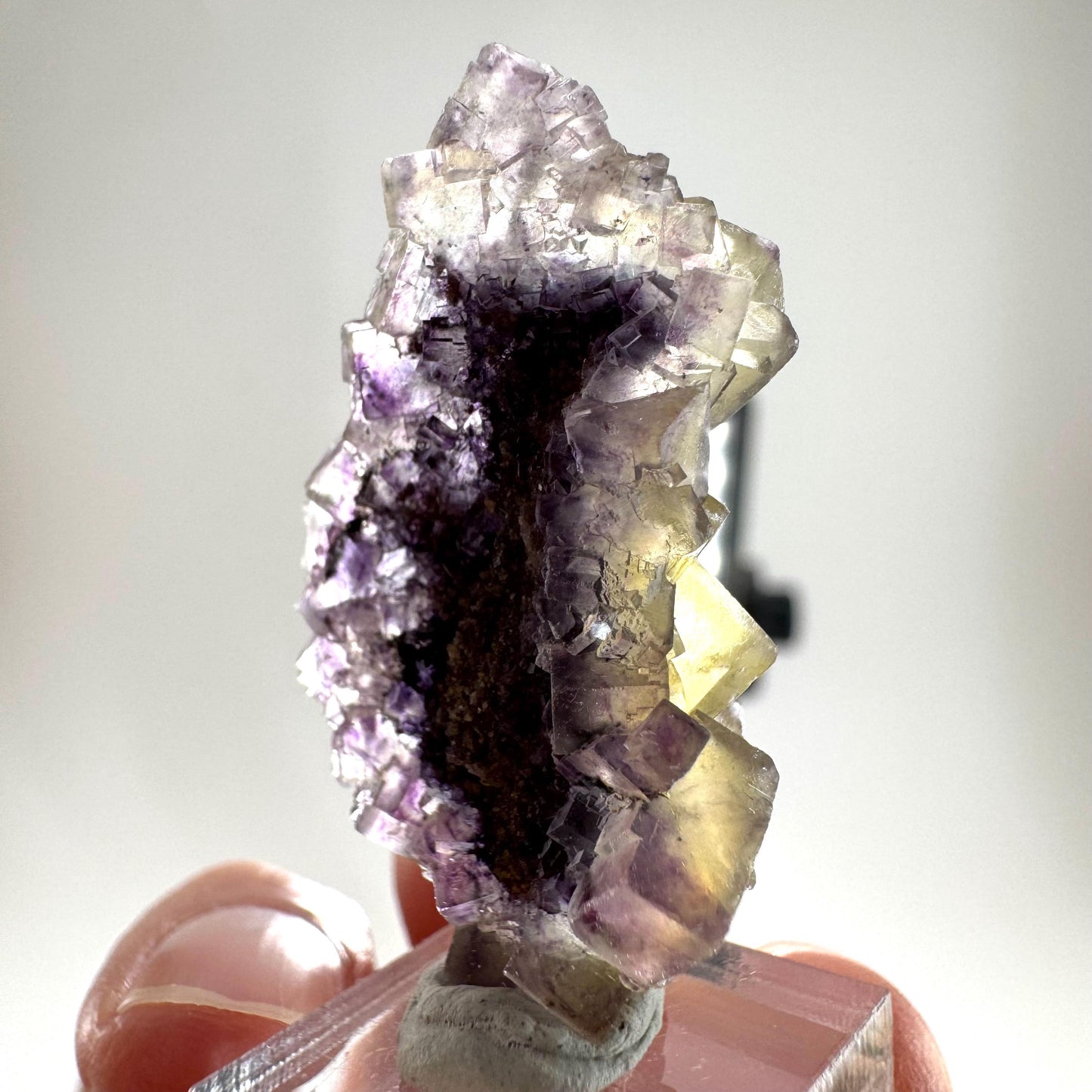 Okorusu Fluorite (Namibia) | “Honey Pocket” fluorite cluster, yellow fluorite crystal, mineral specimen