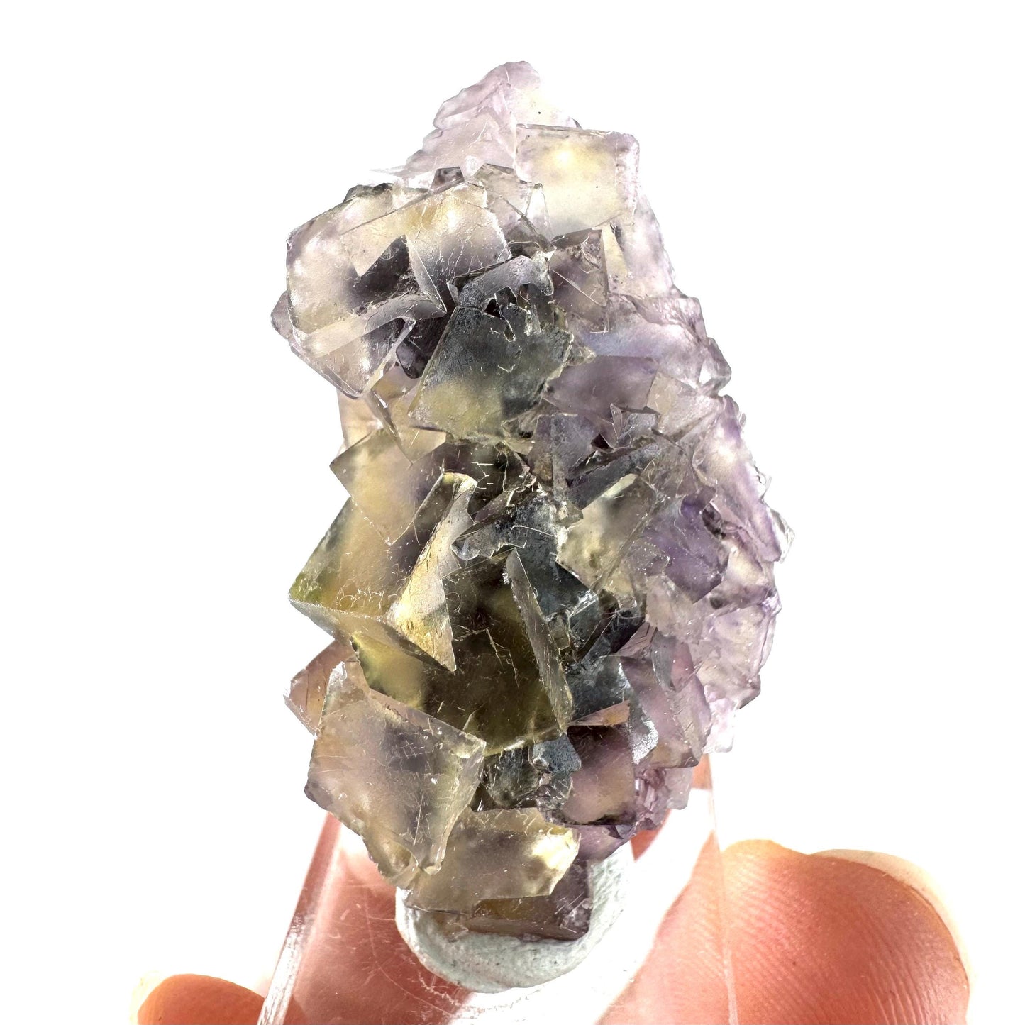 Okorusu Fluorite (Namibia) | “Honey Pocket” fluorite cluster, yellow fluorite crystal, mineral specimen