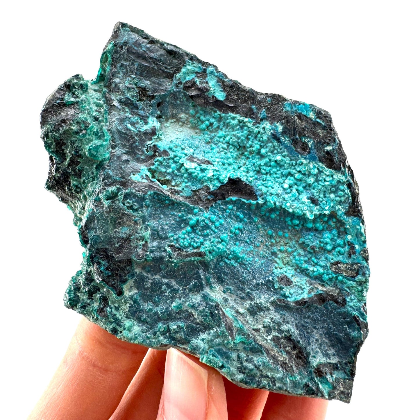 Chrysocolla / Gem Silica (DR Congo) | botryoidal chrysocolla crystal, mineral specimen