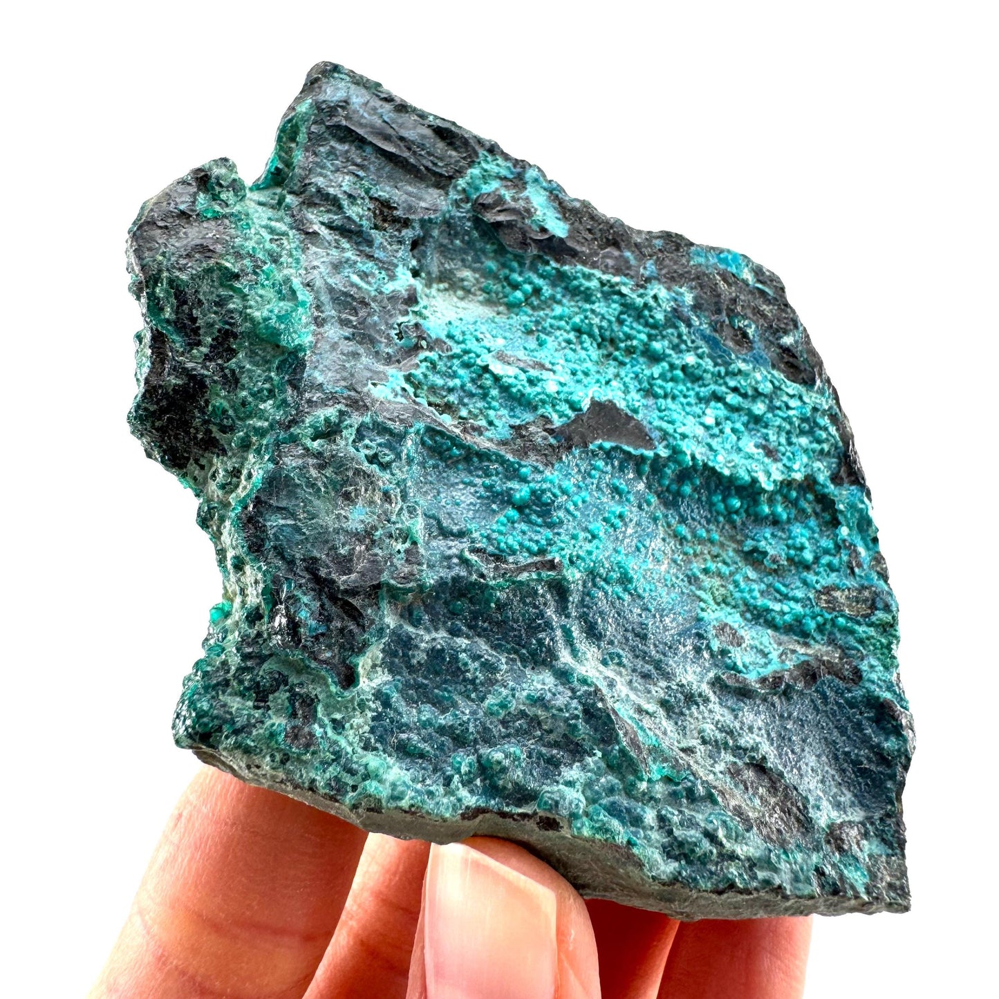 Chrysocolla / Gem Silica (DR Congo) | botryoidal chrysocolla crystal, mineral specimen
