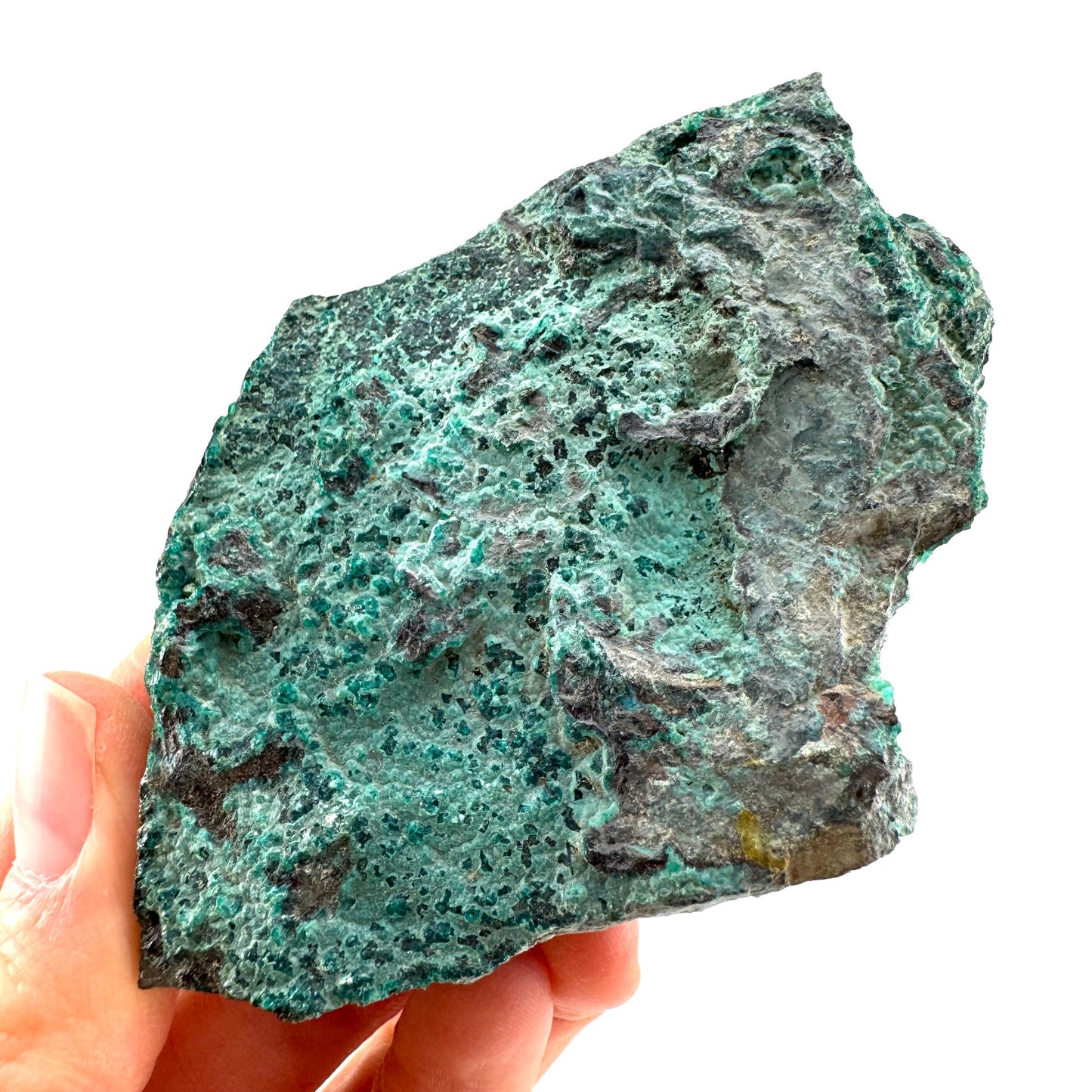 Chrysocolla / Gem Silica (DR Congo) | botryoidal chrysocolla crystal, mineral specimen