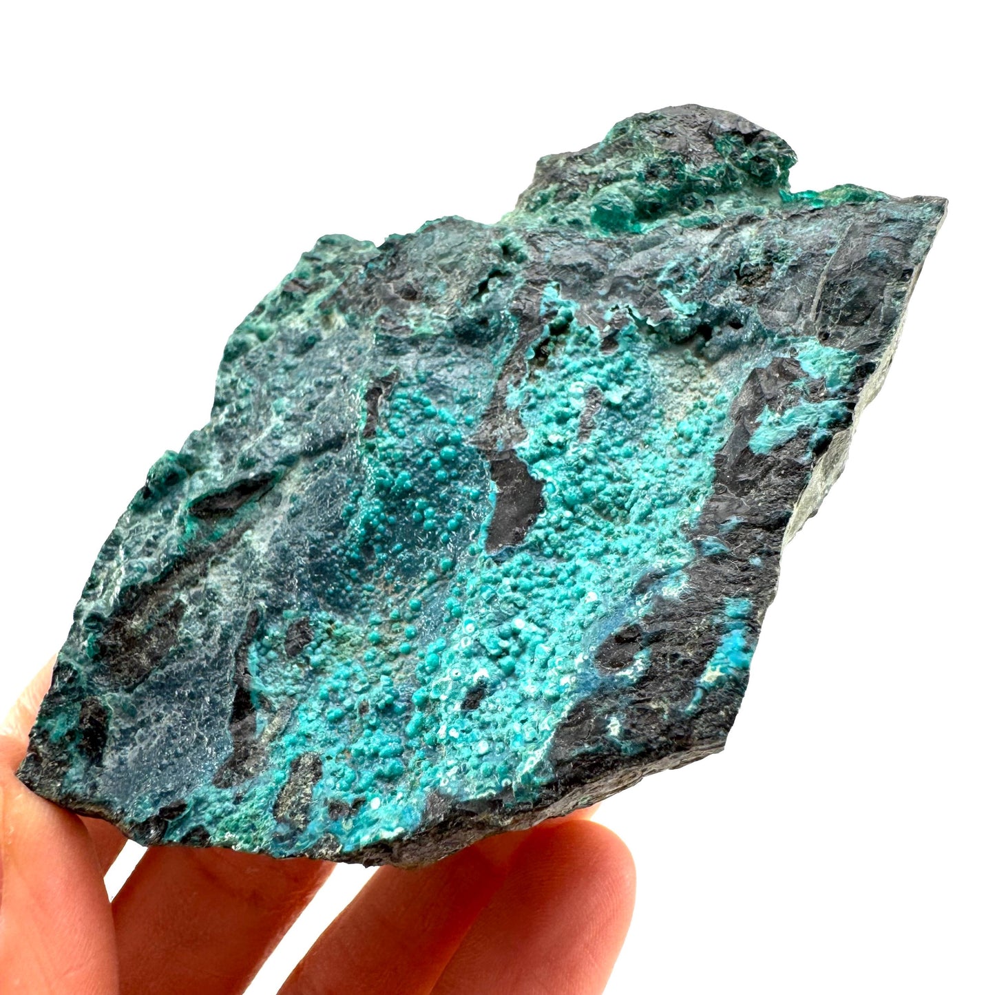 Chrysocolla / Gem Silica (DR Congo) | botryoidal chrysocolla crystal, mineral specimen