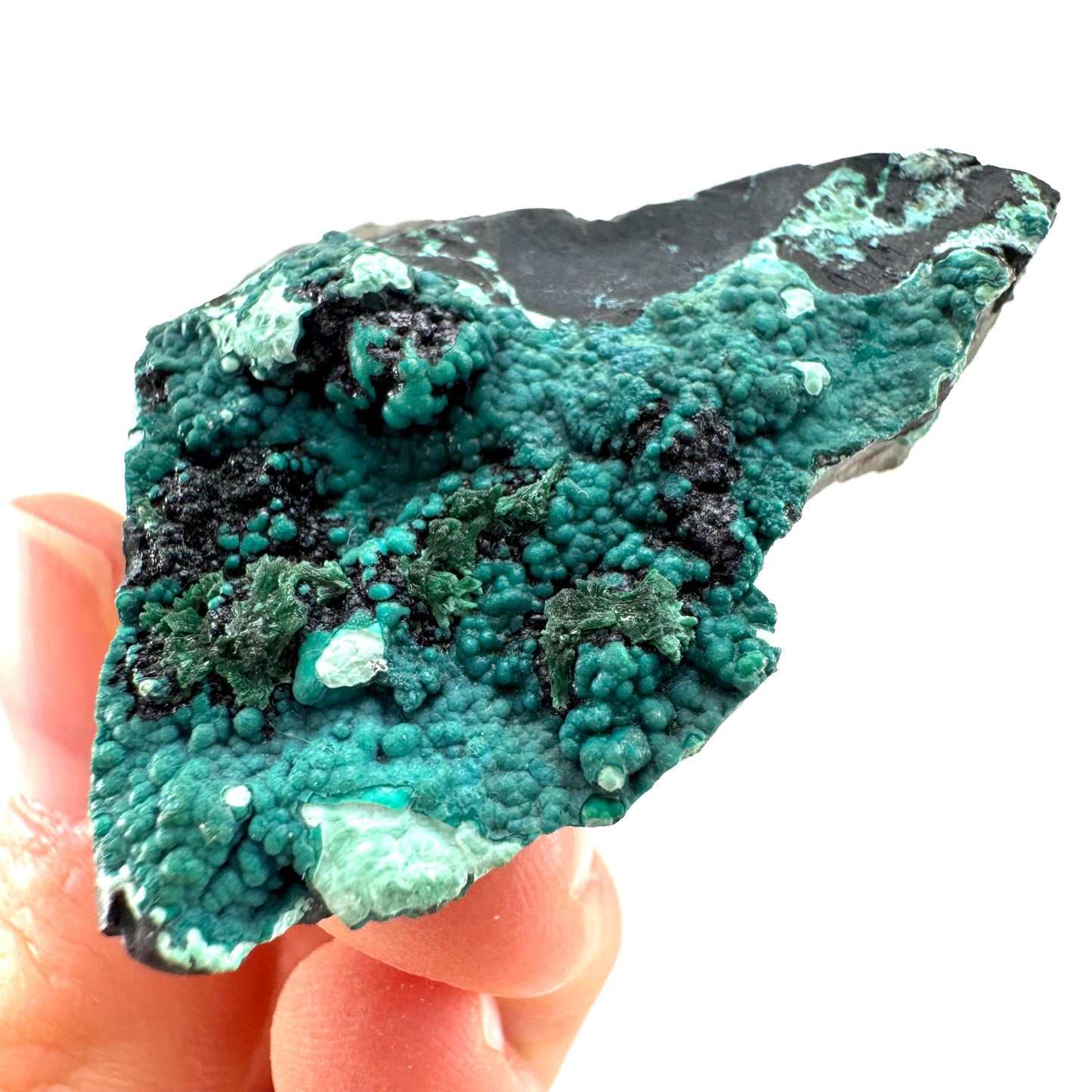 Chrysocolla / Gem Silica (DR Congo) | botryoidal chrysocolla crystal, mineral specimen