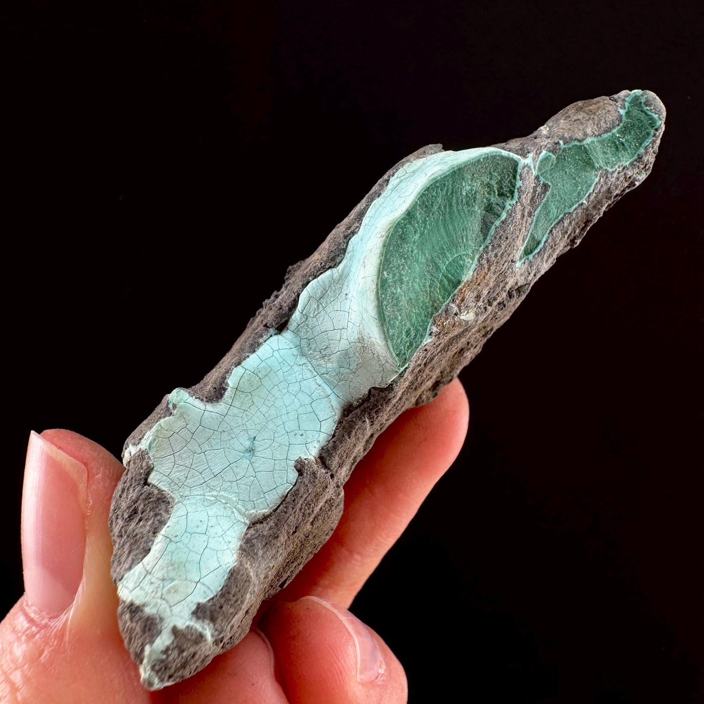 Chrysocolla & Malachite (DR Congo) | botryoidal chrysocolla crystal, mineral specimen