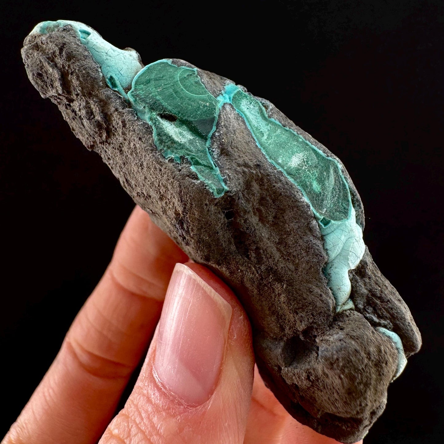 Chrysocolla & Malachite (DR Congo) | botryoidal chrysocolla crystal, mineral specimen