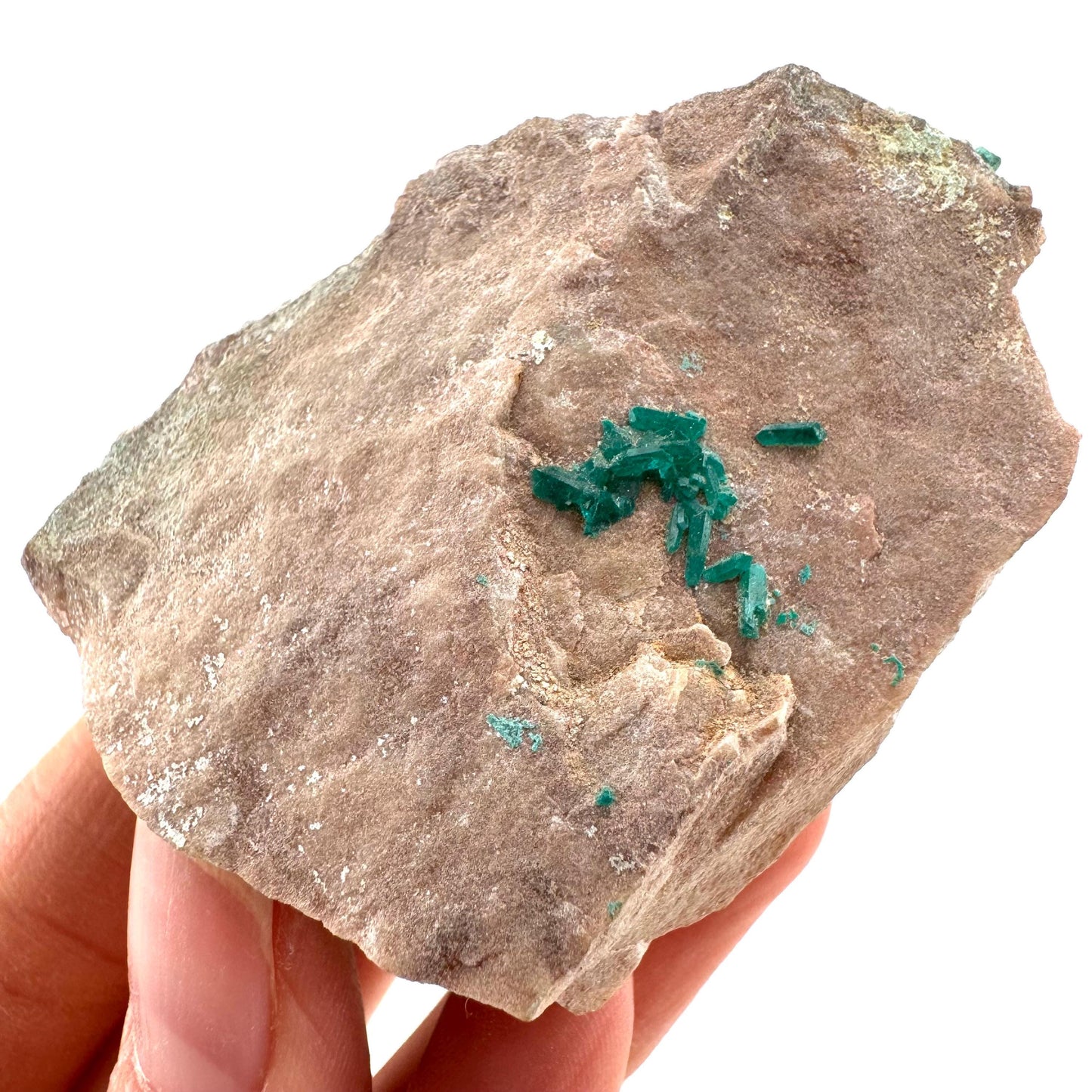 Dioptase w/ Chrysocolla (Namibia) | dioptase crystal, mineral specimen