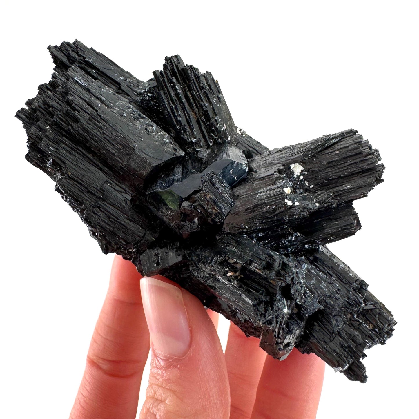Raw Black Tourmaline Crystal Cluster | Namibia, Protection Stone