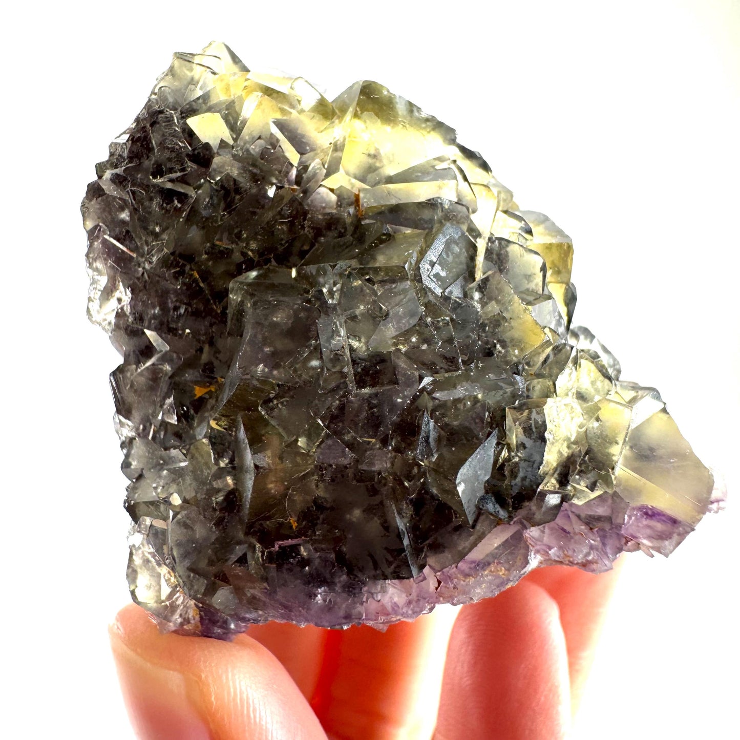 Okorusu Fluorite (Namibia) | “Honey Pocket” fluorite cluster, yellow fluorite crystal, mineral specimen