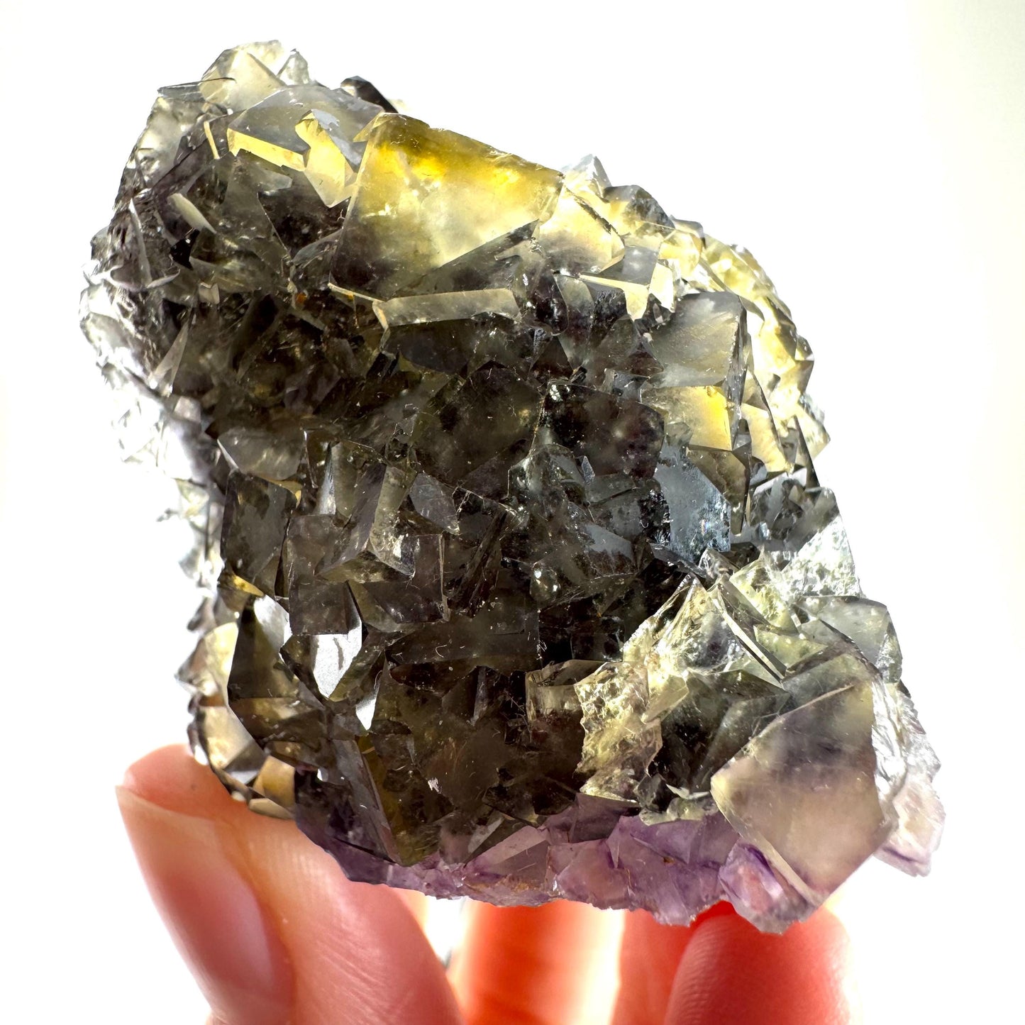 Okorusu Fluorite (Namibia) | “Honey Pocket” fluorite cluster, yellow fluorite crystal, mineral specimen