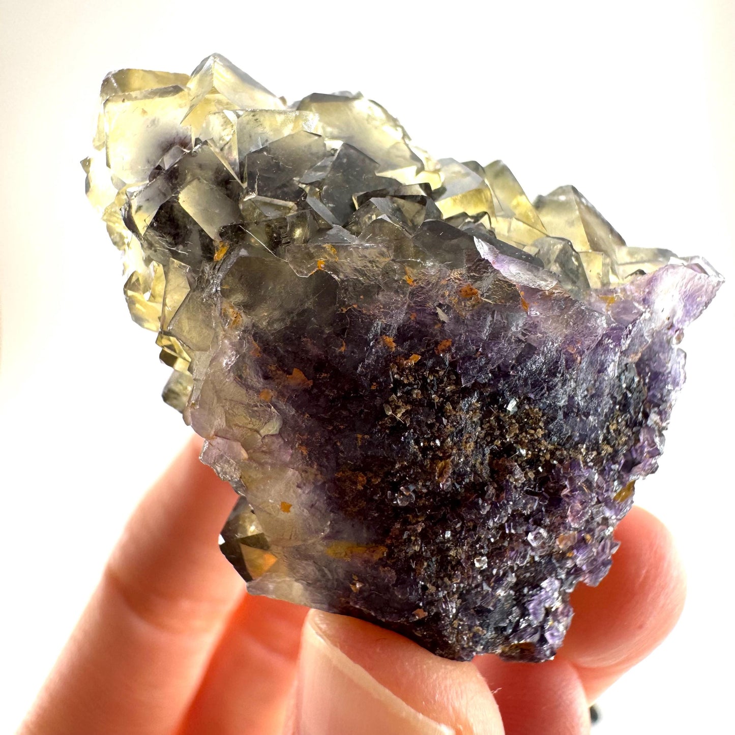 Okorusu Fluorite (Namibia) | “Honey Pocket” fluorite cluster, yellow fluorite crystal, mineral specimen