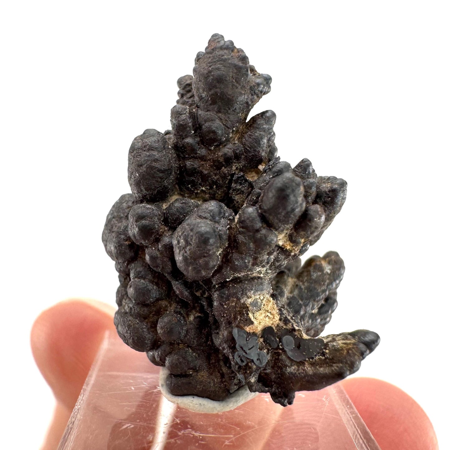 Botryoidal Goethite | natural mineral specimen, raw crystal (Namibia)