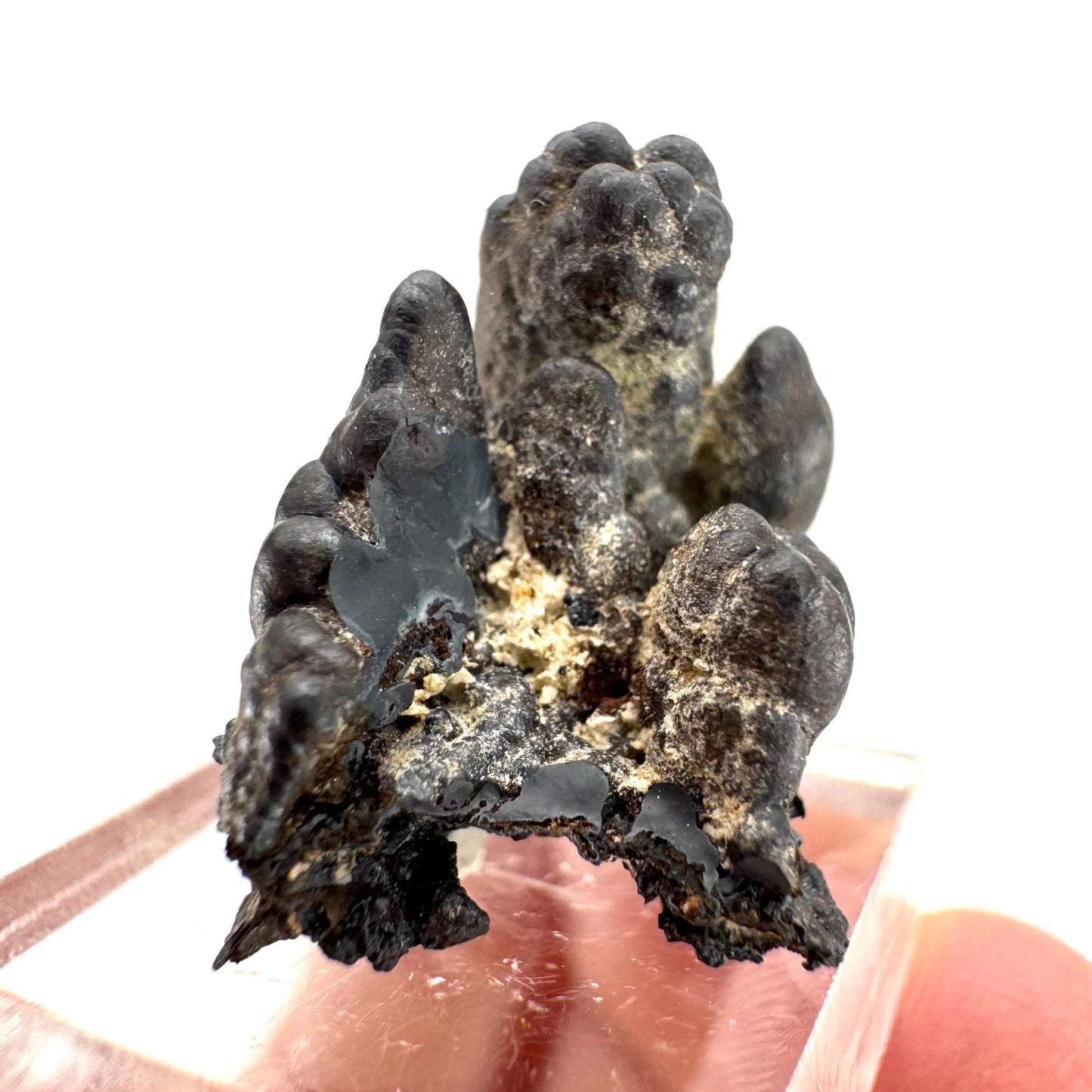 Botryoidal Goethite | natural mineral specimen, raw crystal (Namibia)