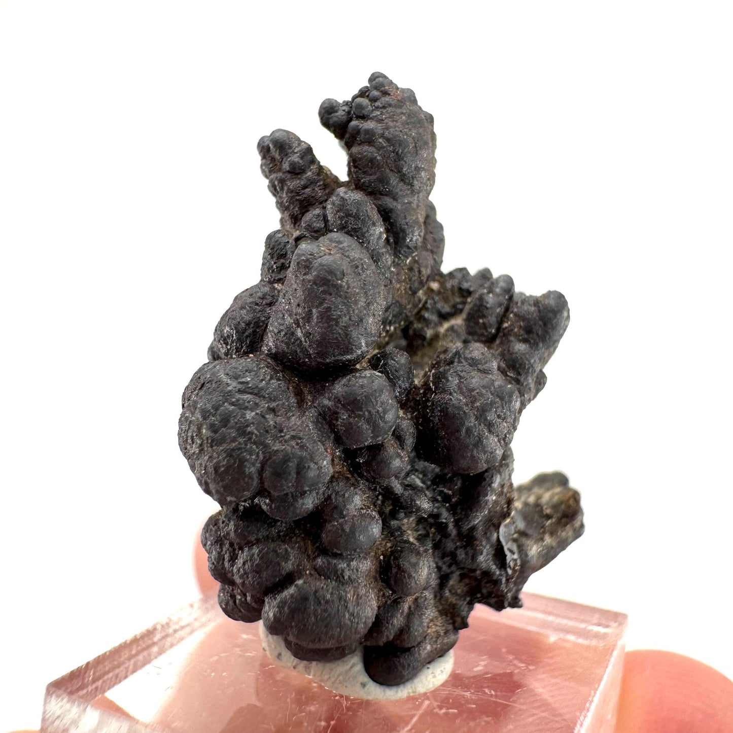 Botryoidal Goethite | natural mineral specimen, raw crystal (Namibia)