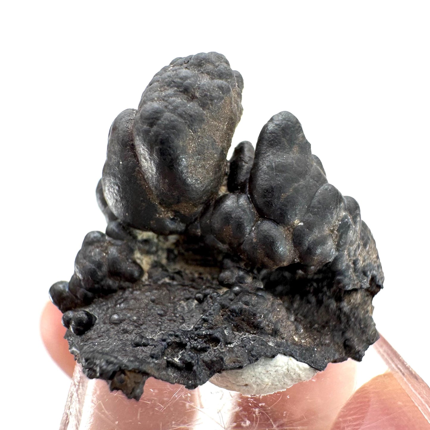 Botryoidal Goethite | natural mineral specimen, raw crystal (Namibia)