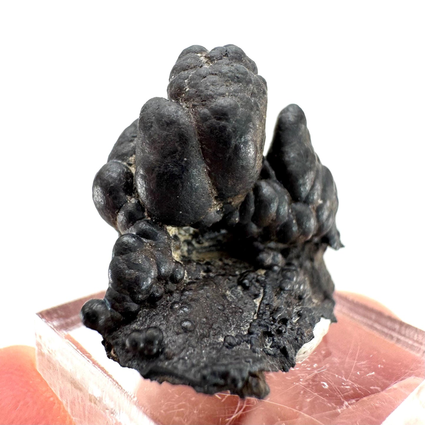 Botryoidal Goethite | natural mineral specimen, raw crystal (Namibia)