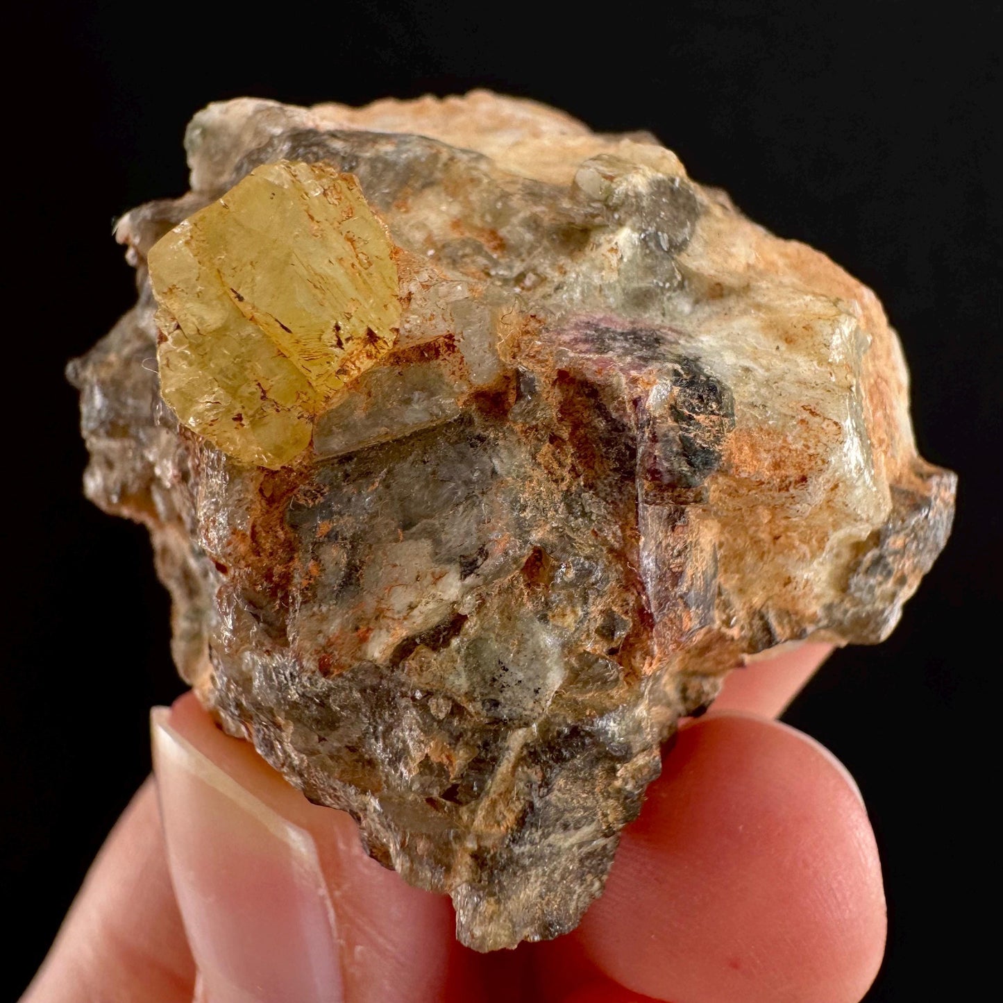 Rare! Londonite on Matrix | natural crystal cluster, raw yellow mineral (Madagascar)