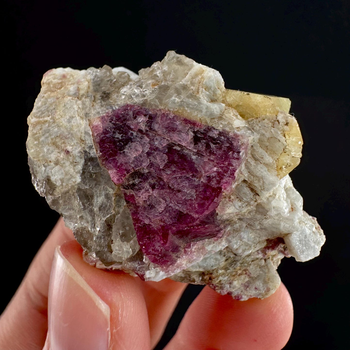 Rare! Londonite with Liddicoatite | natural crystal cluster, raw mineral specimen (Madagascar)