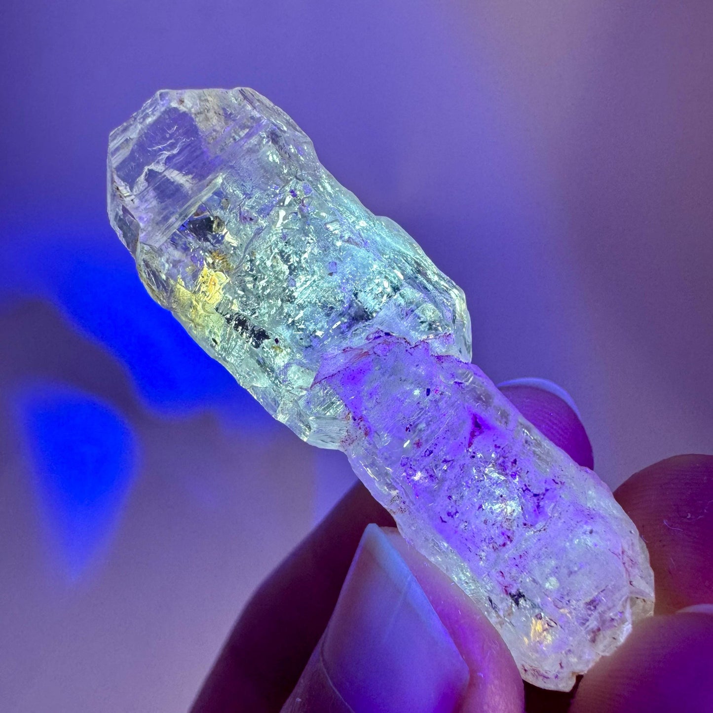 Firefly Petroleum Quartz Sceptre | UV reactive crystal, fluorescent mineral from Madagascar