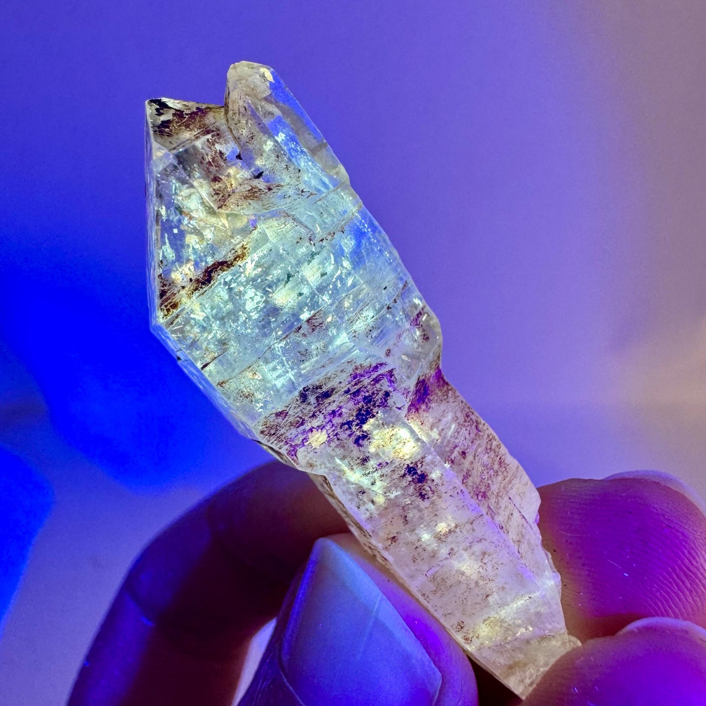 Firefly Petroleum Quartz Sceptre | UV reactive crystal, fluorescent mineral from Madagascar